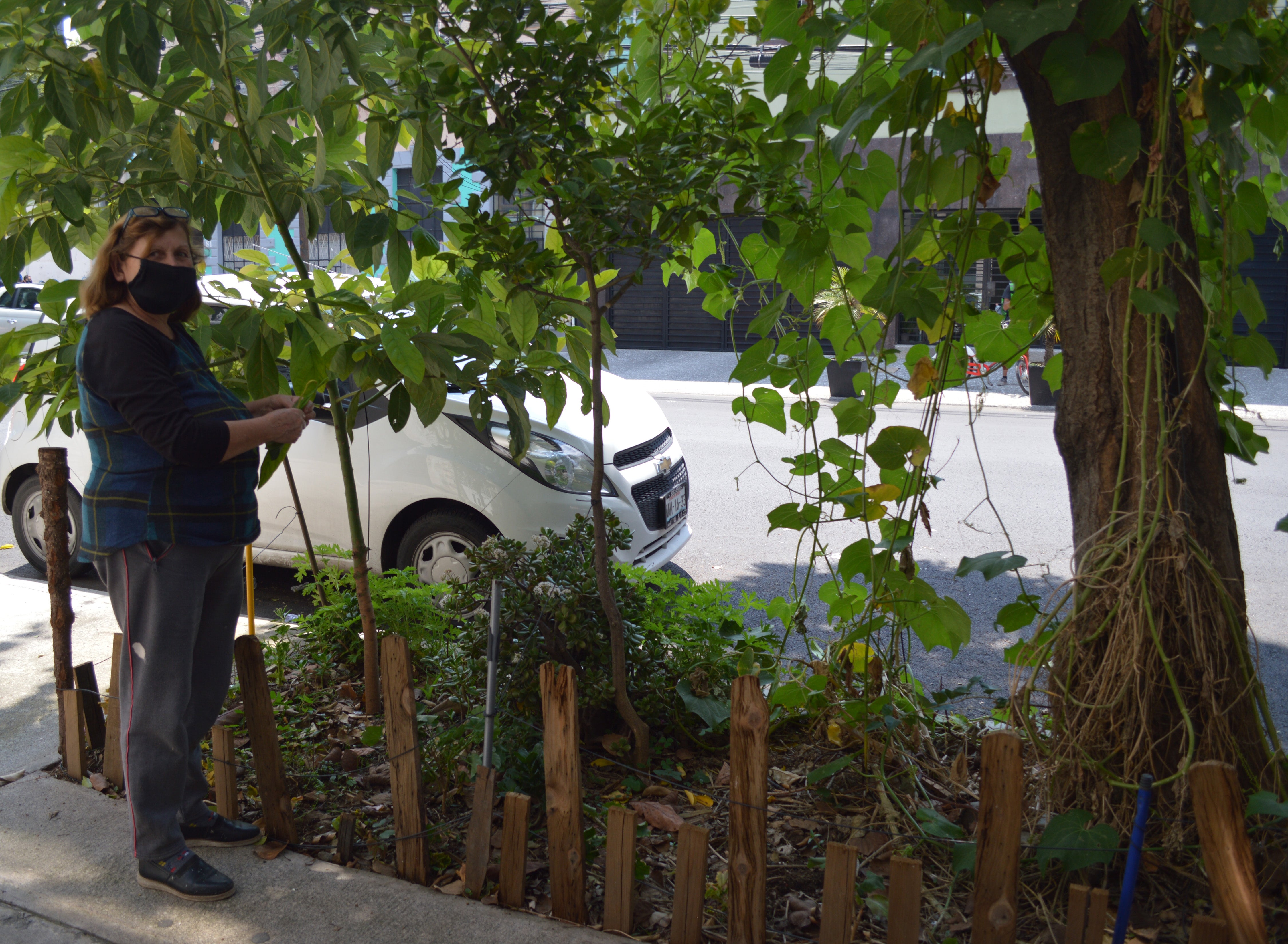 Ms. Anne showing her edible garden in the sidewalk