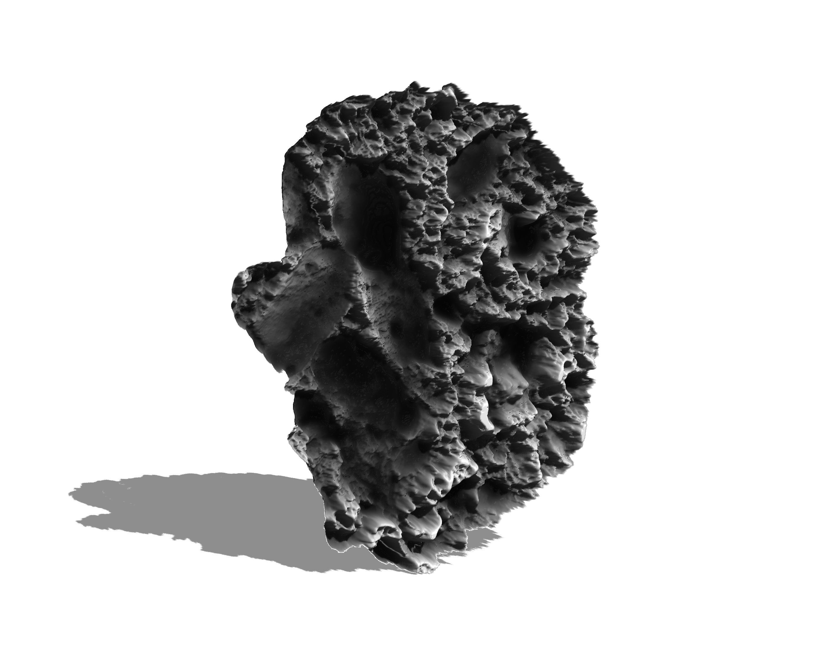 Coral bump map