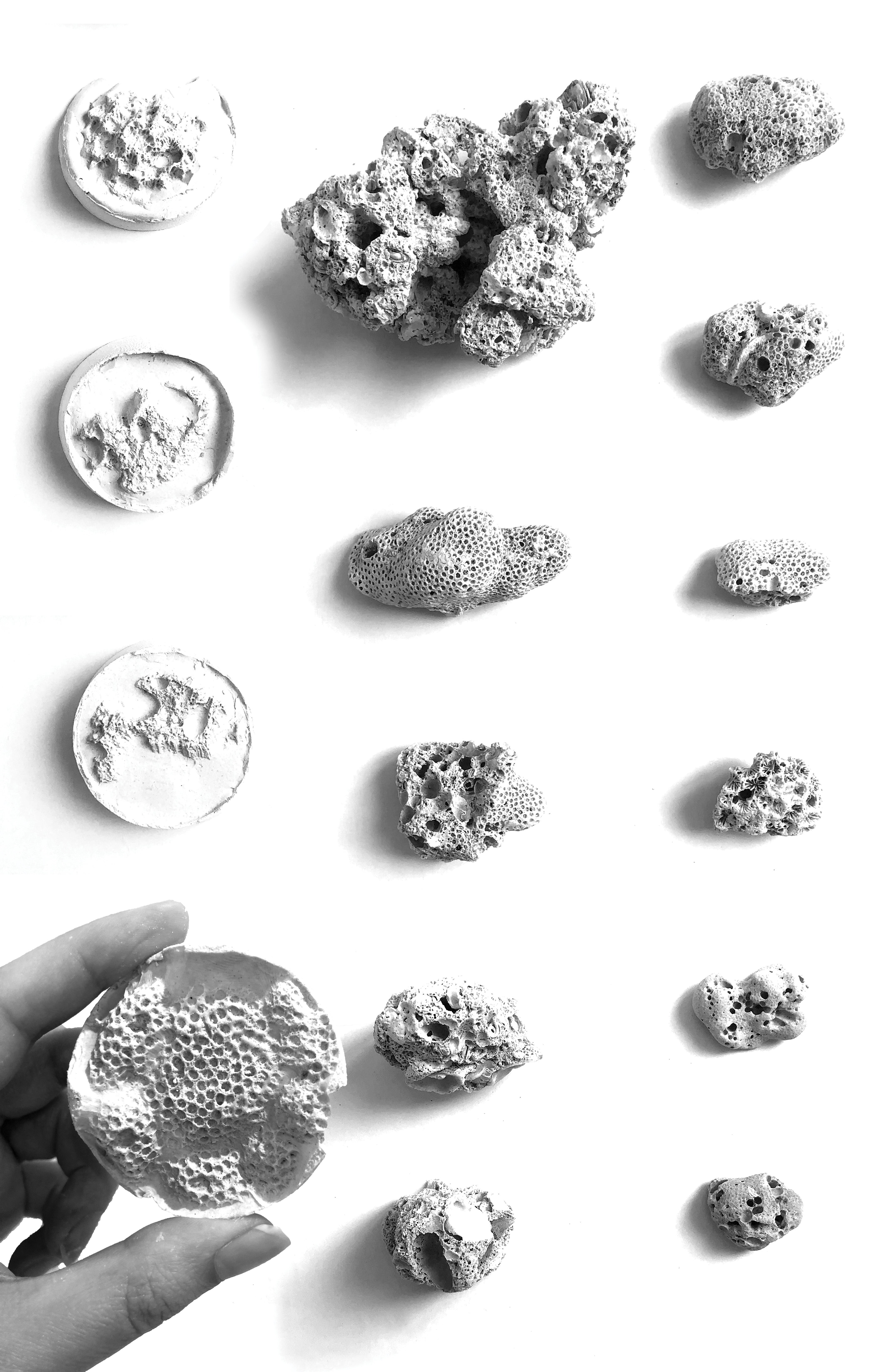 Coral experimentation through plaster modeling