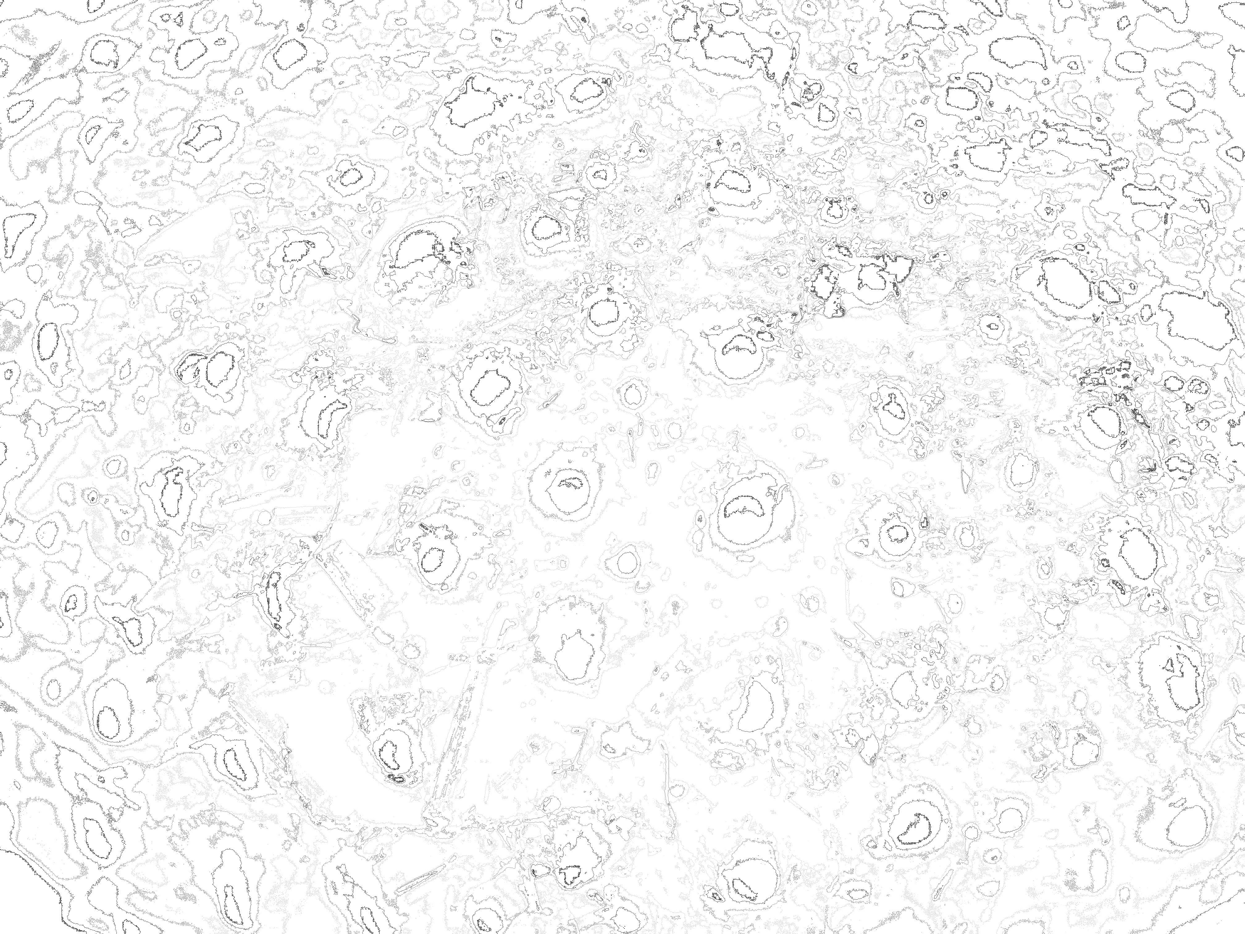 Sea urchin topography derived from exoskeleton 