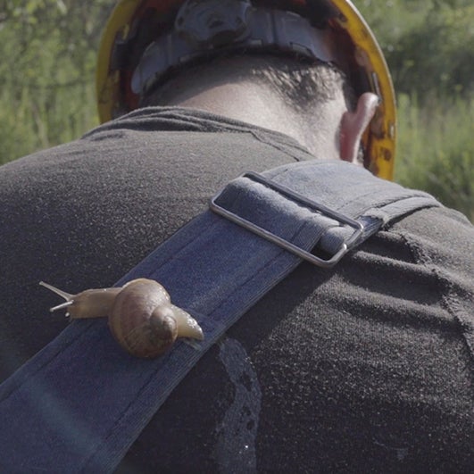 Color photograph of a man in a yellow hard hat, taken from behind, of his bent head, neck and shoulders. There is an overall strap across his back, and a snail crawls over it