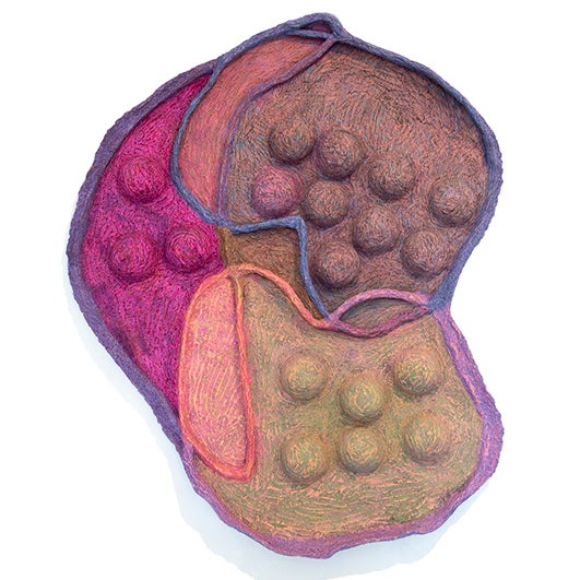 color photograph of an irregularly shaped form, with clusters of circular bumps, and five different colored brushy segments