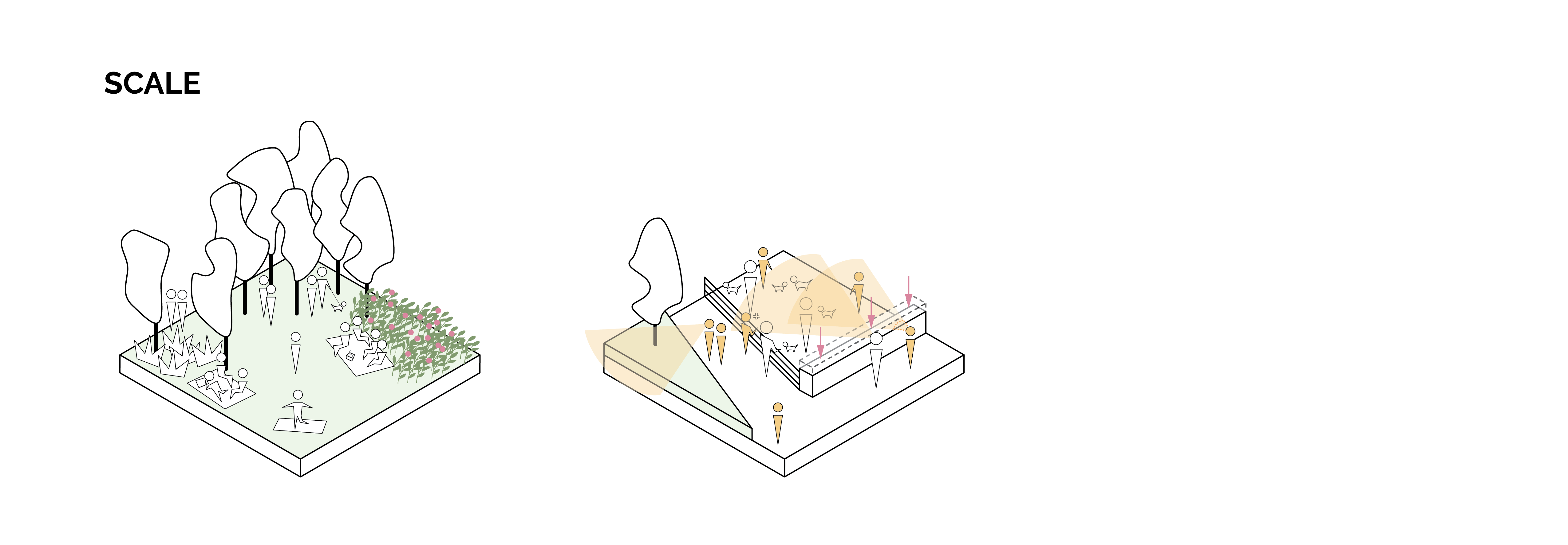 scale