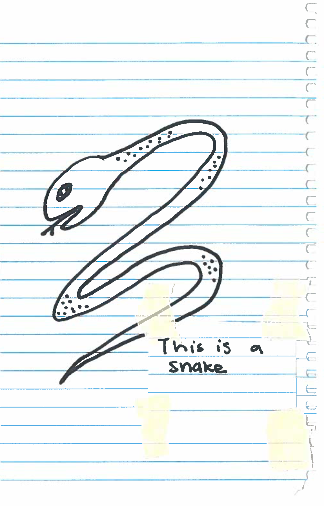 This is a snake