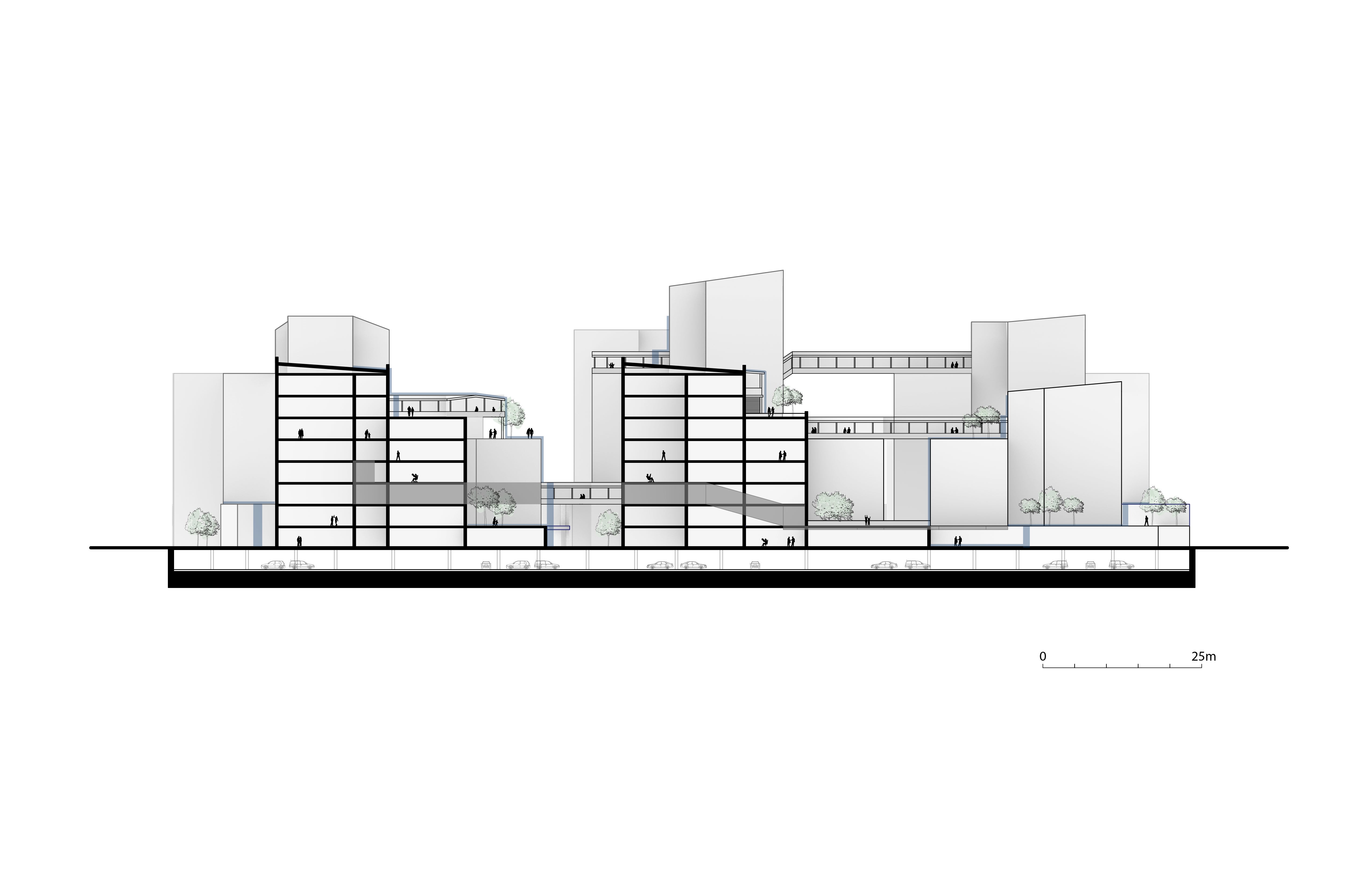 Section Drawing