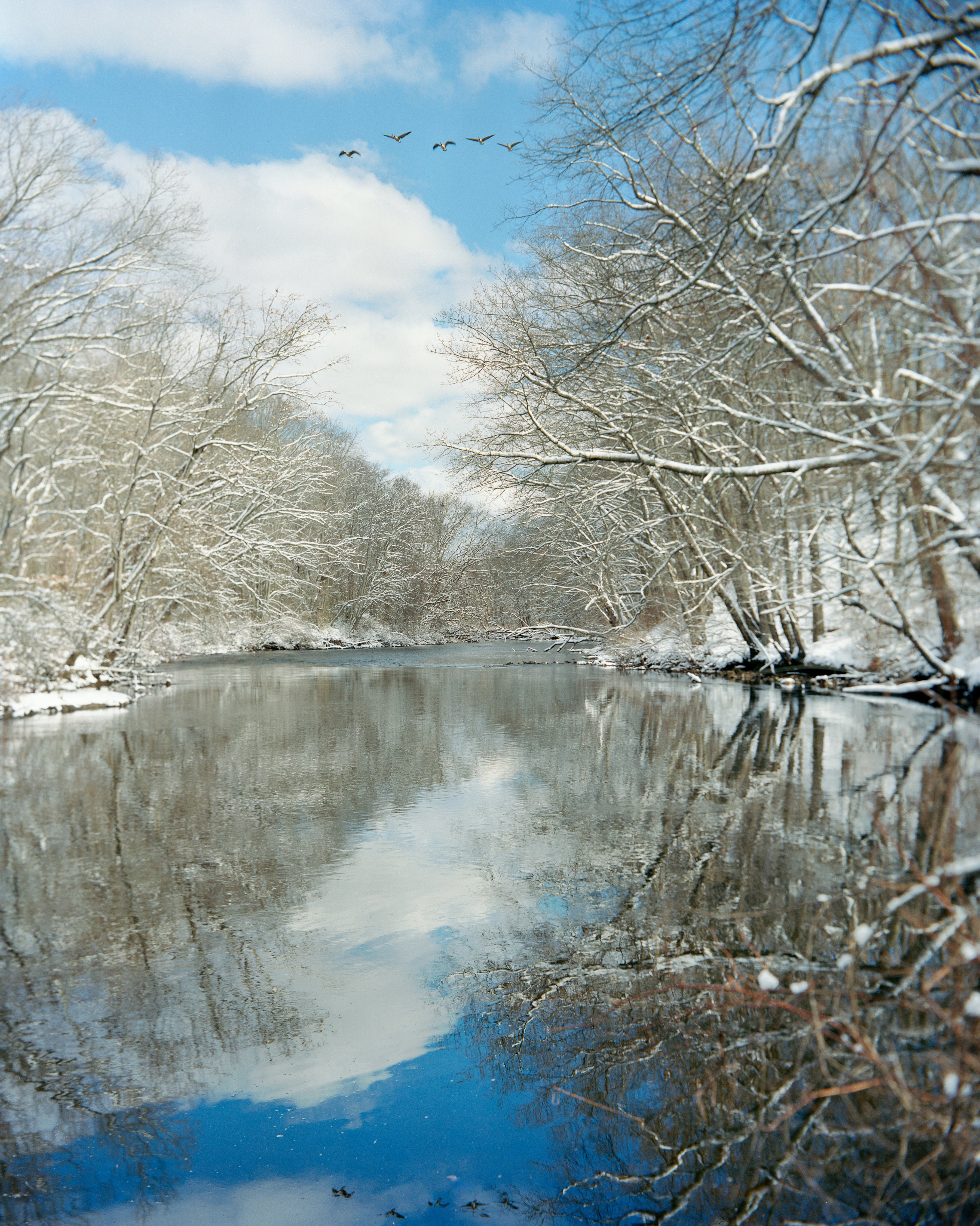 snowy river 