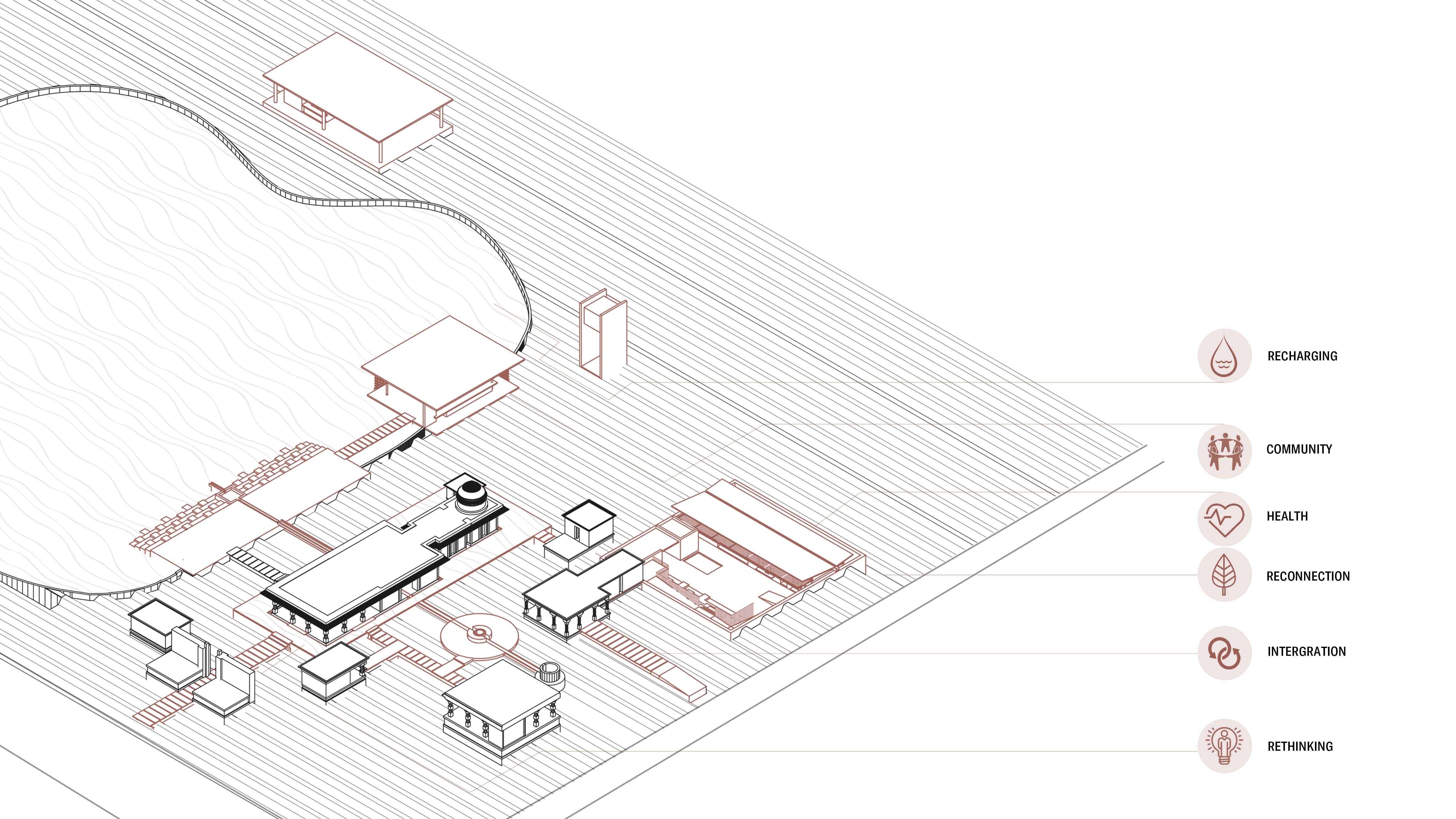 site axon