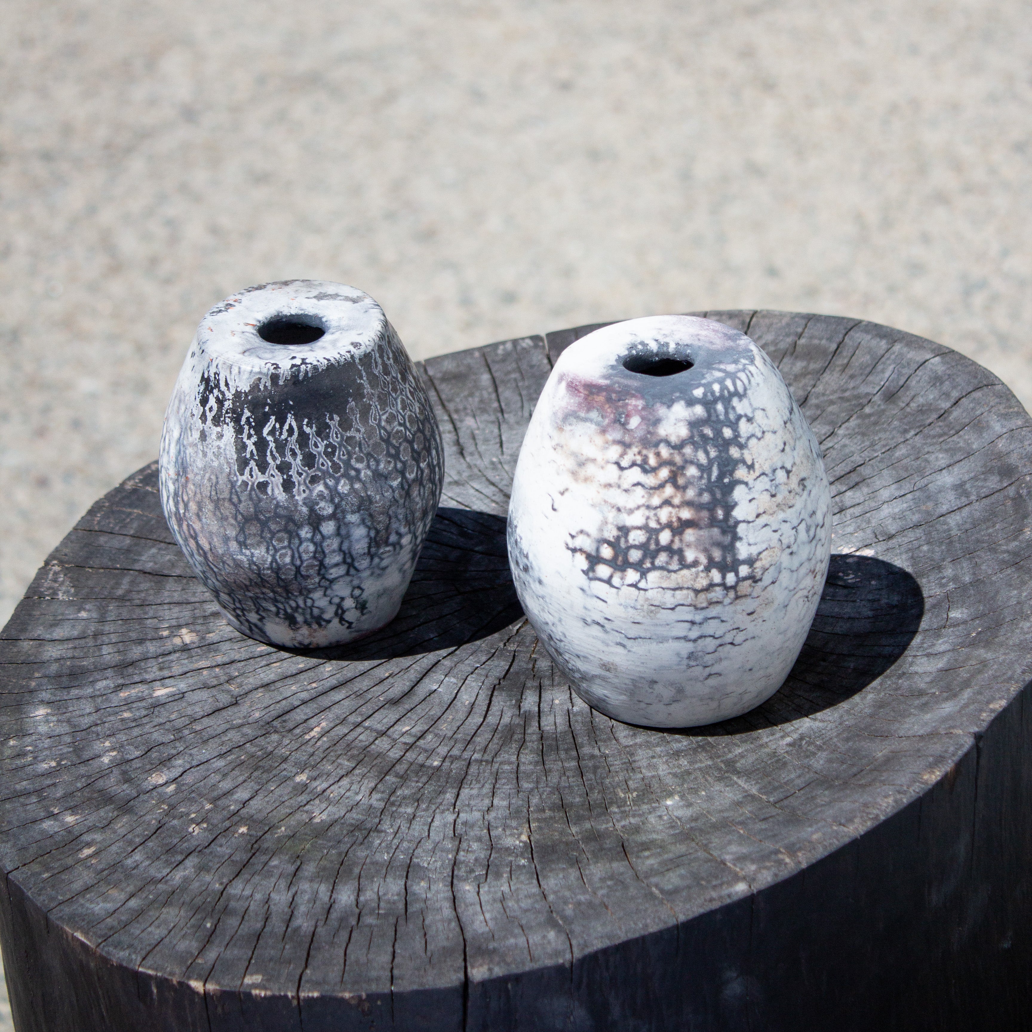 Ceramic 8