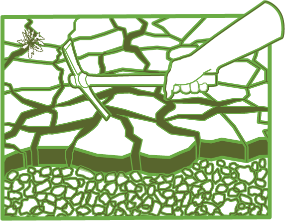 Crocodile crack cultivation diagram 2