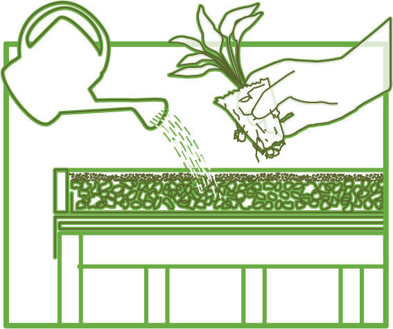 green roof diagram 4