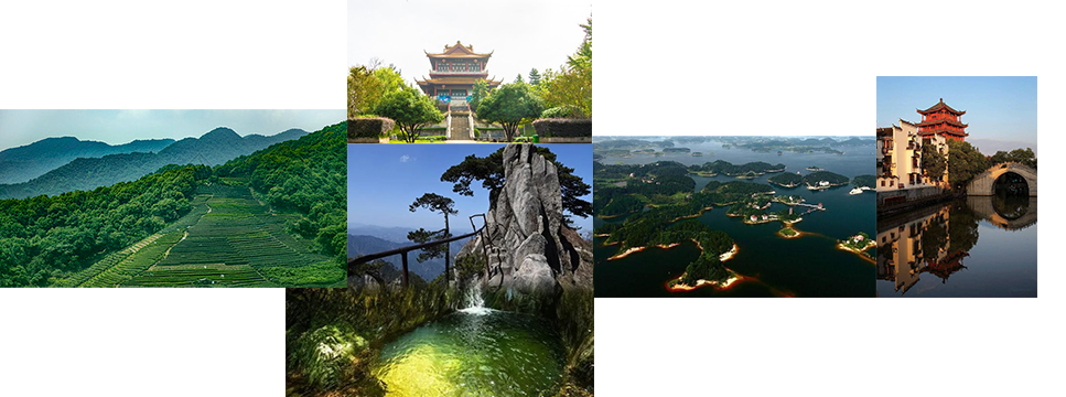 SITE COLLAGE