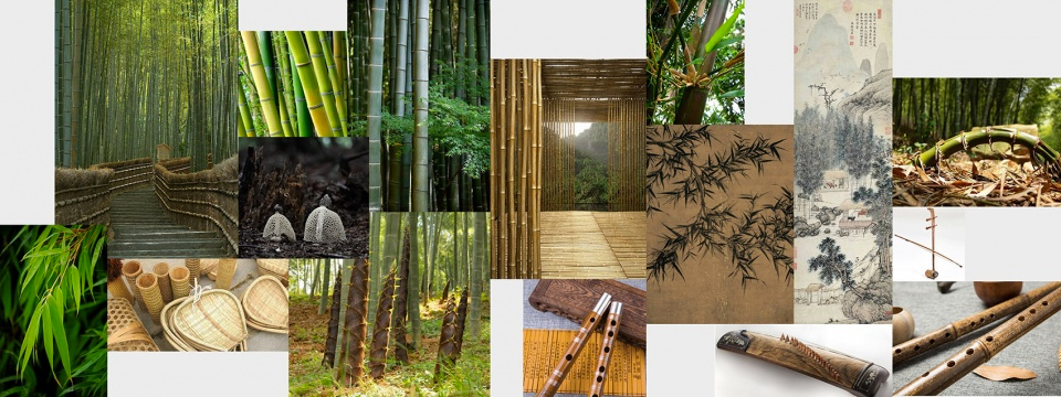 BAMBOO 