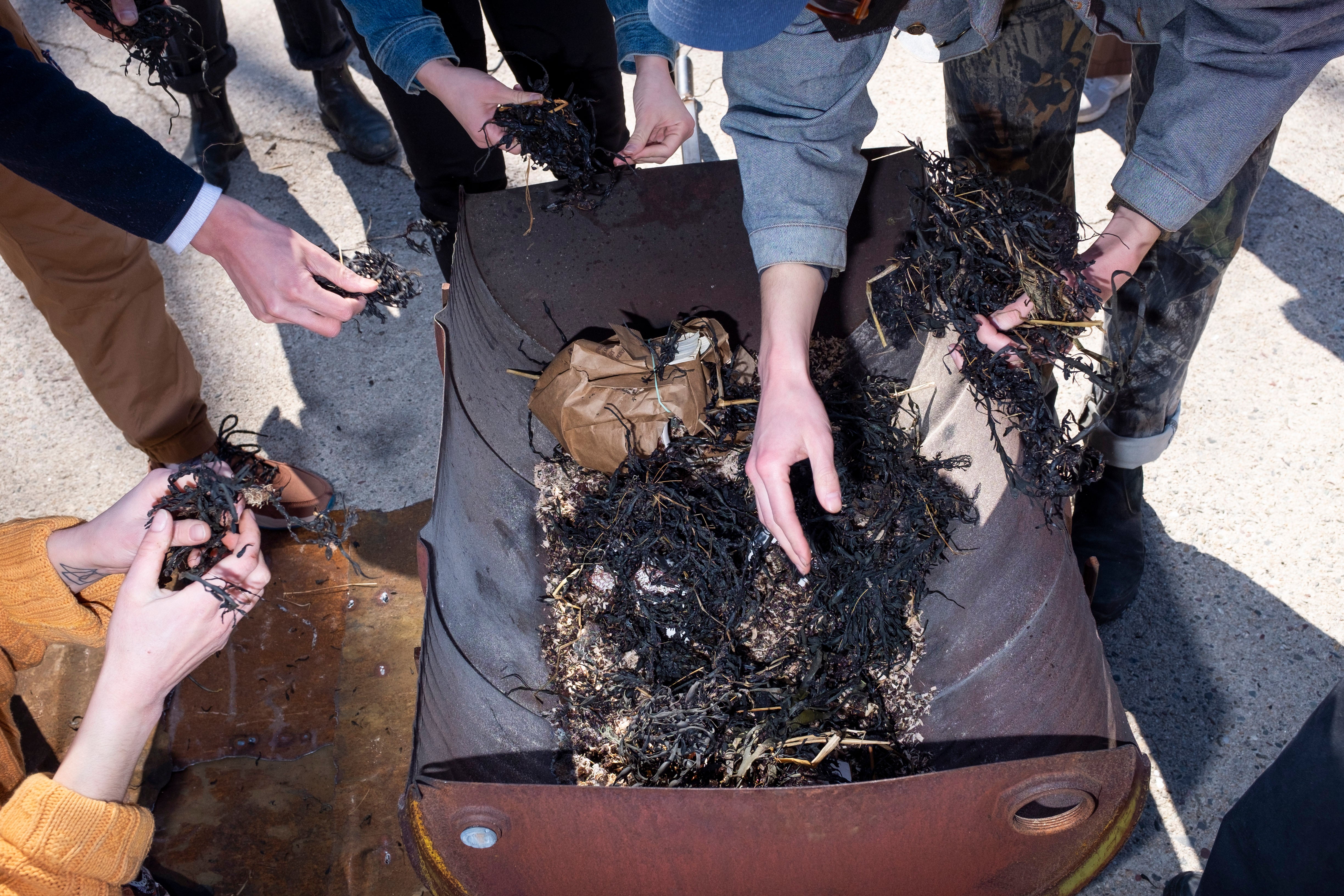 Hot Talks, Seaweed Hands