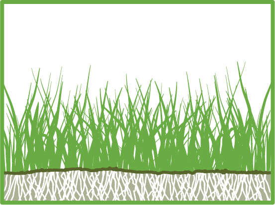 lawn meadow diagram 2