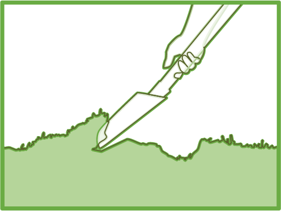 meadow diagram 1