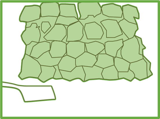 meadow diagram 2