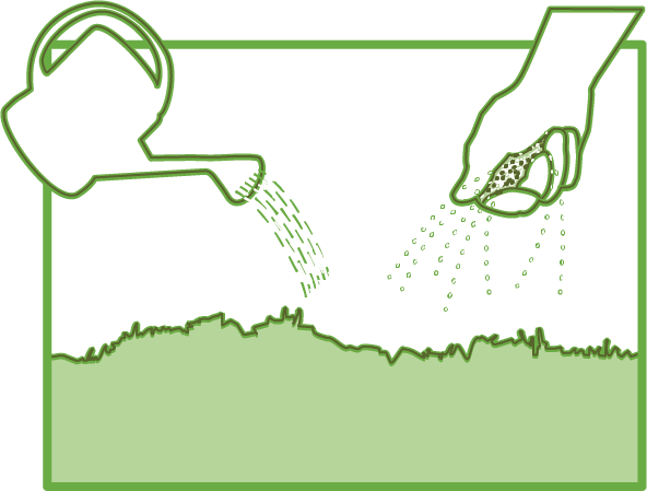 meadow diagram 3