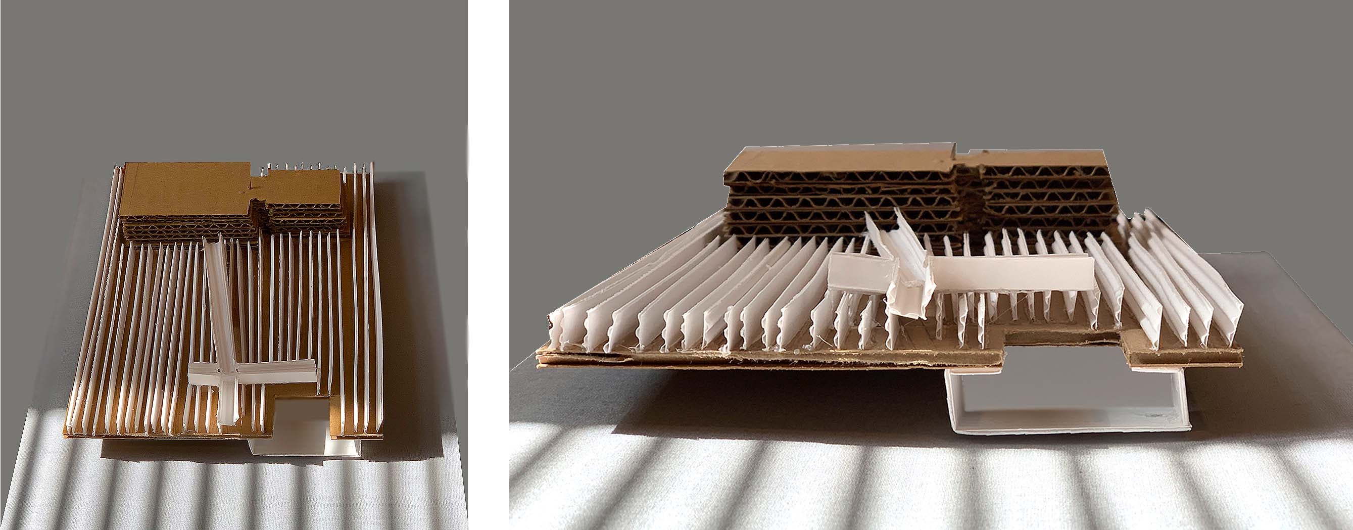 model image with shadow