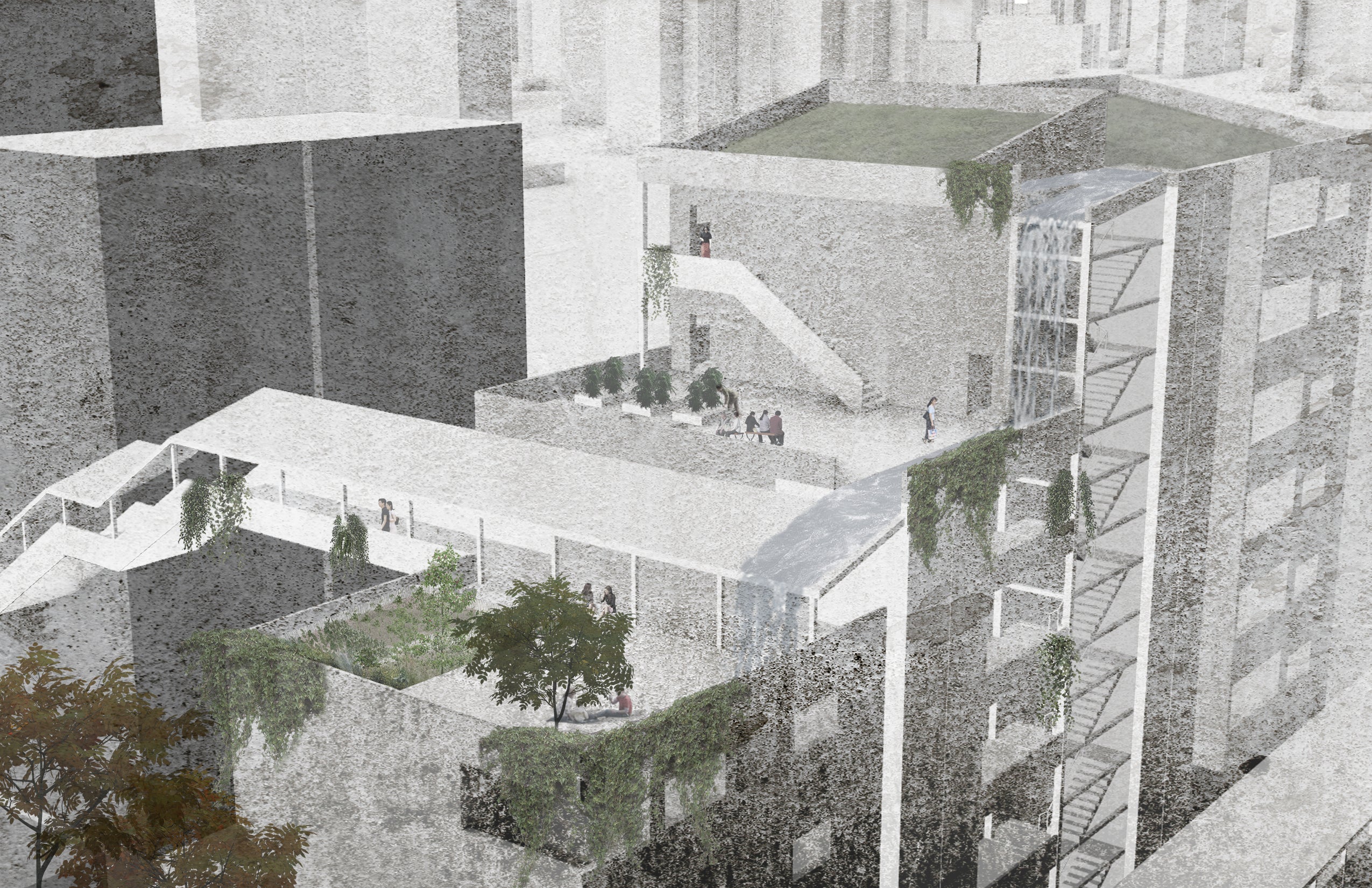 View of the shared "backyard"