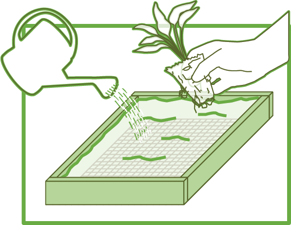 Building a raised bed, image 4