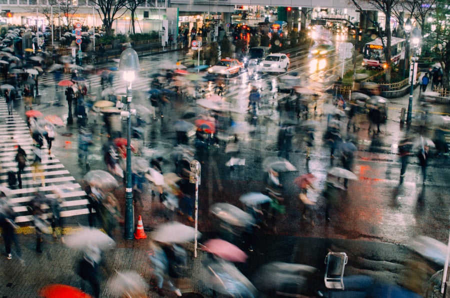 Photo:  Seona Kim