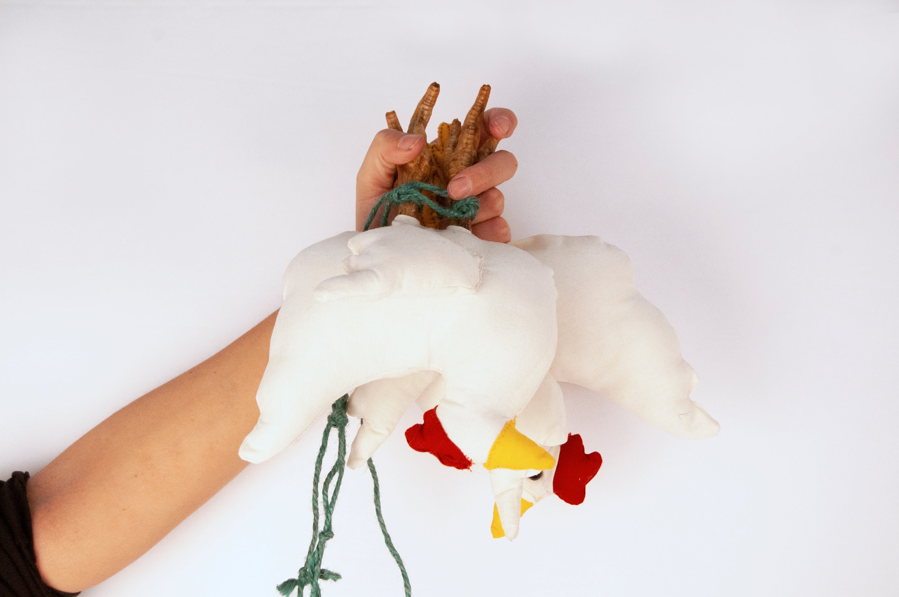 both chickens held