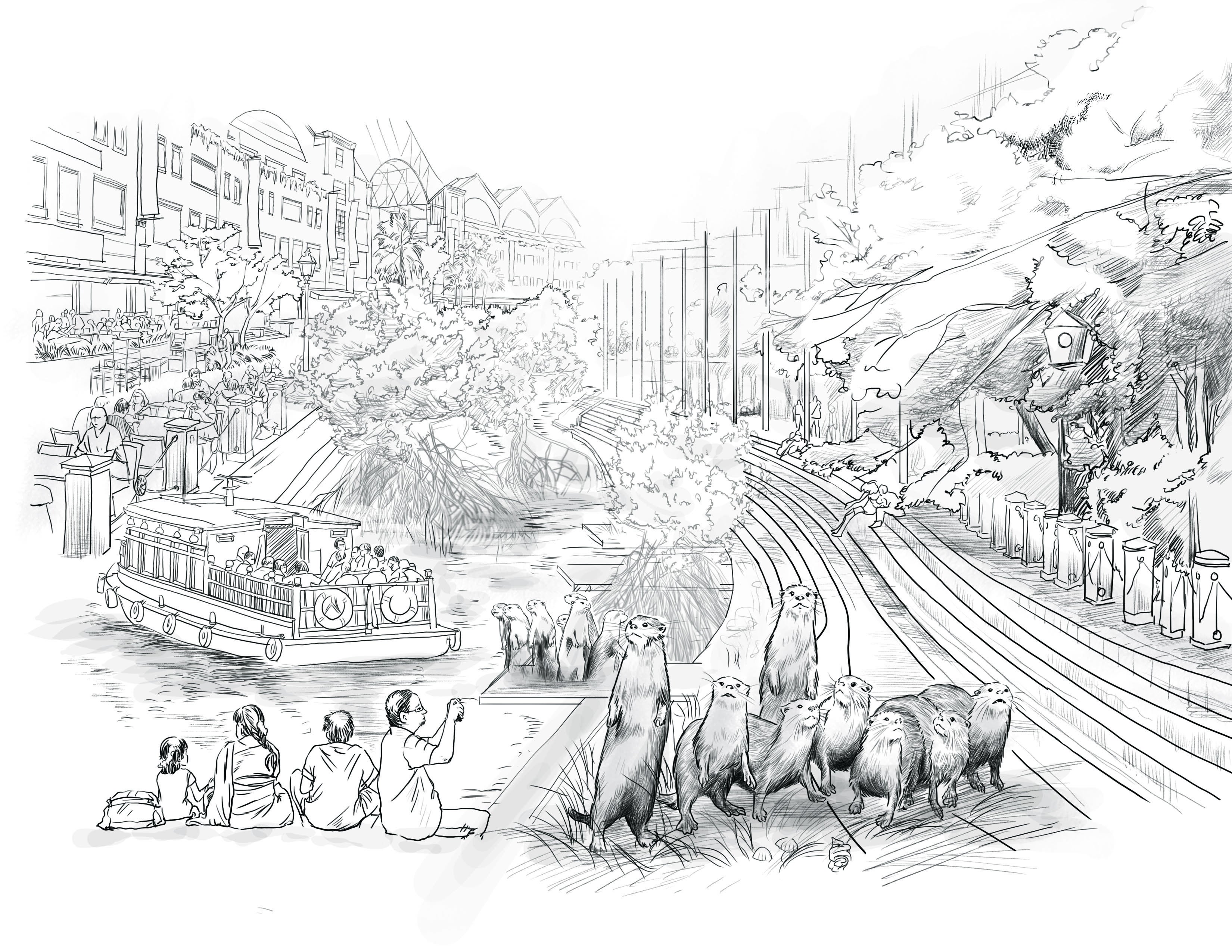 As one of the most important elements of urban ecology, urban animals are close to us. Many animals have becomemore or less accustomed to the urban living environment, such as the otters inSingapore. by learning to use human urban facilities and adjusting their diets.This project mainly analyzes the time, purpose, and area of activities of people and otters in Singapore as a basis, then discuss the different new sense of distance between people and otters.