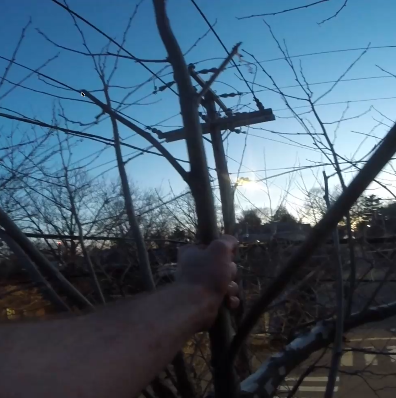 Climbing a Tree