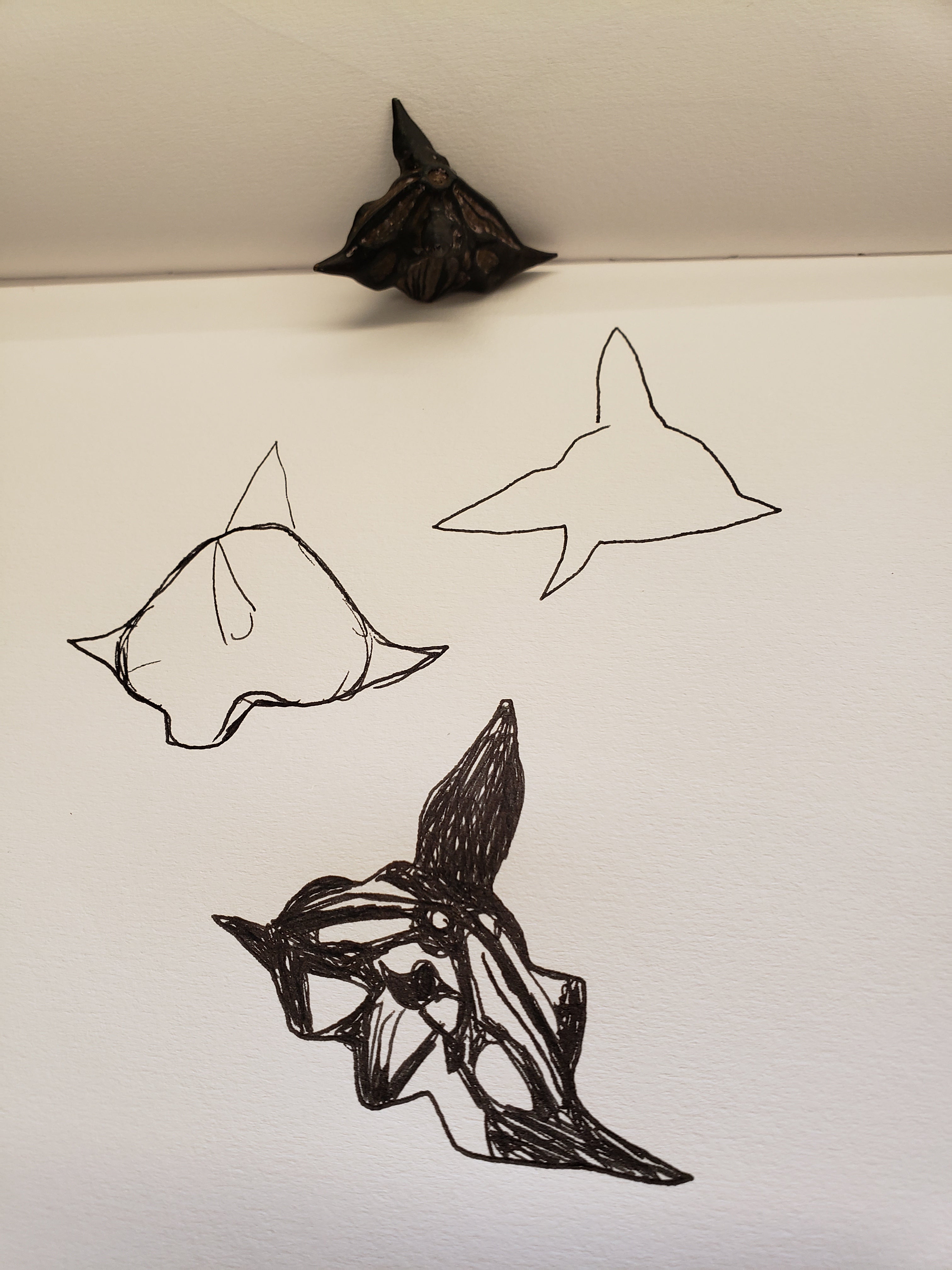 natureforms