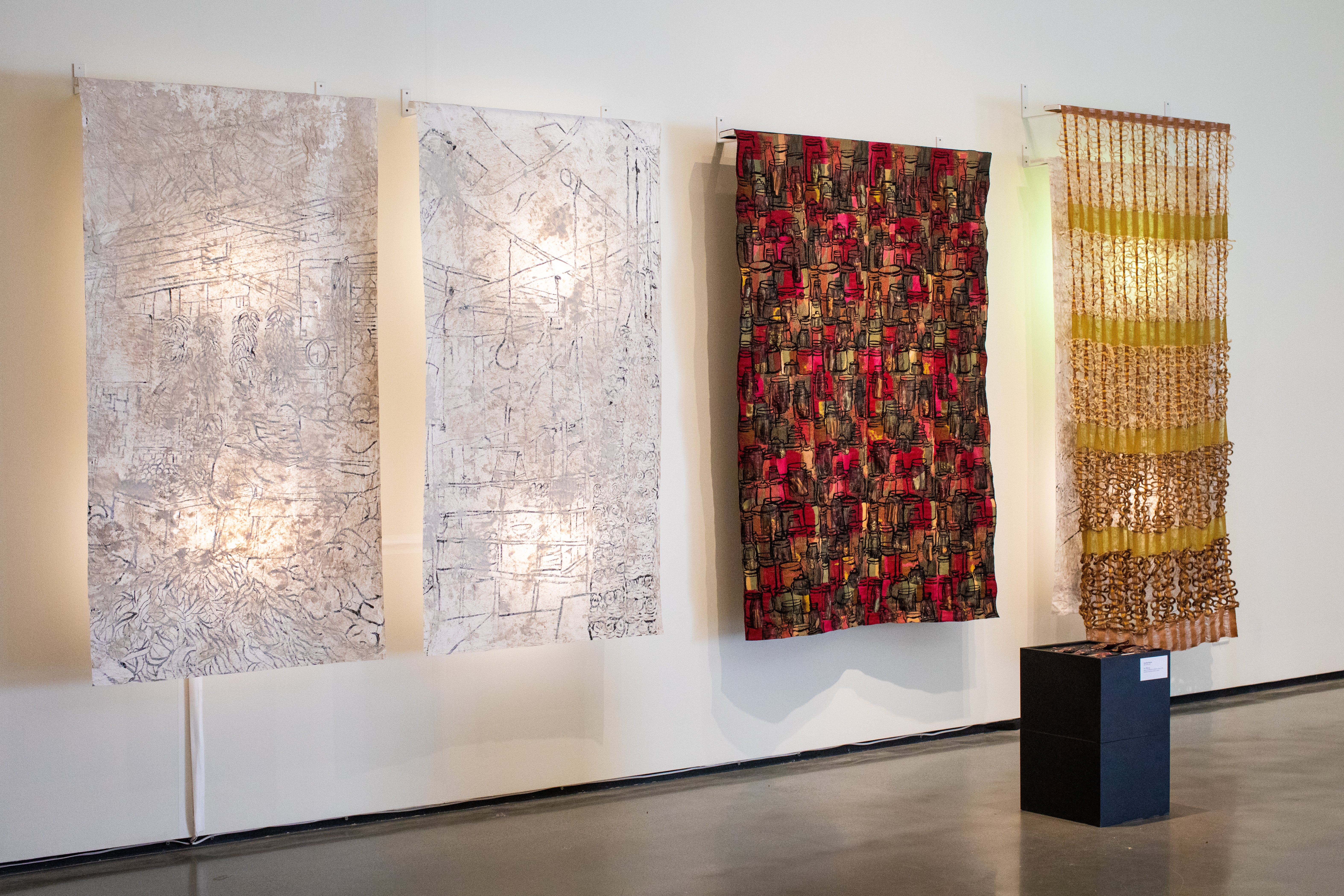 Photograph of Installation of thesis work 