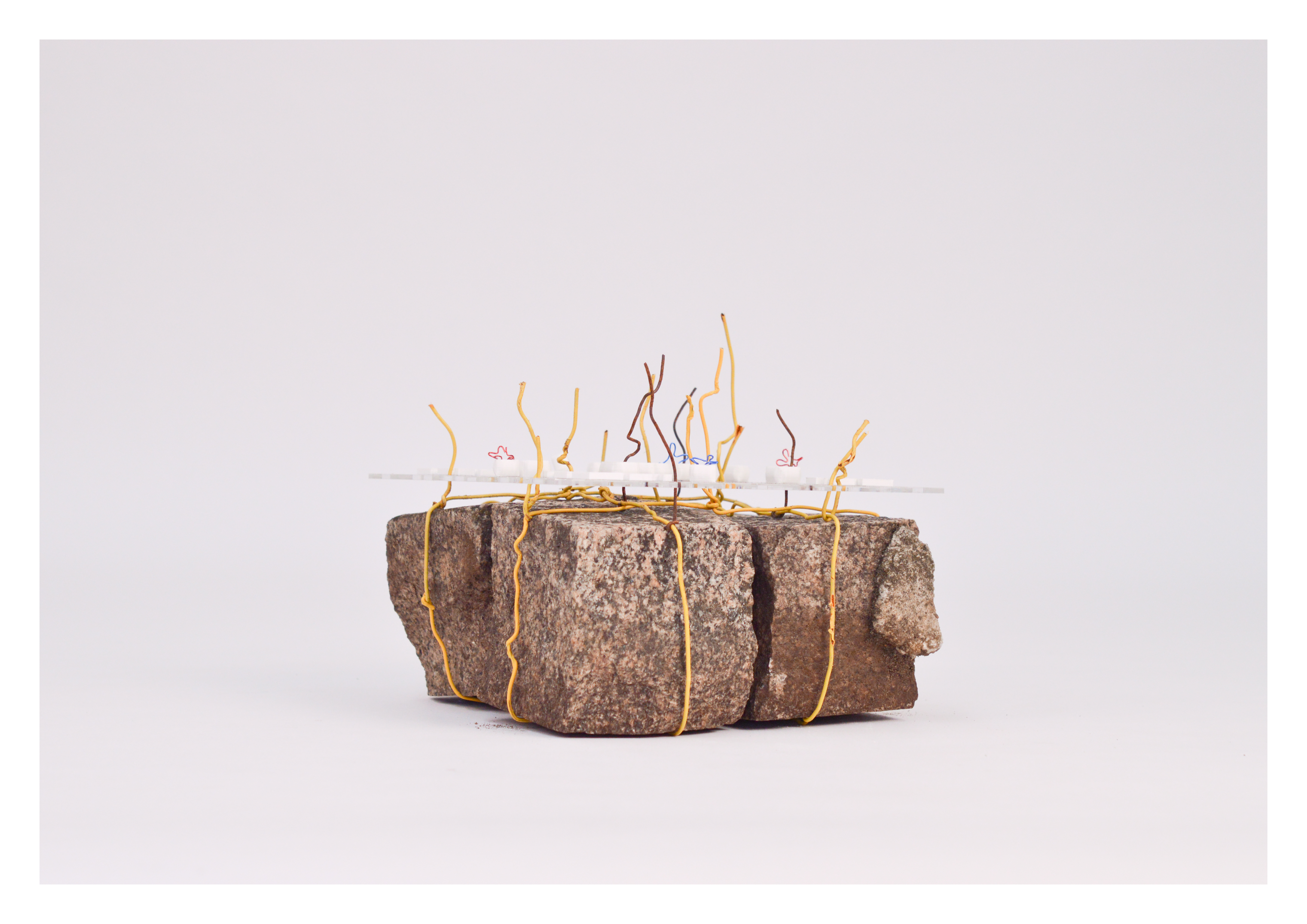 ASSEMBLAGE