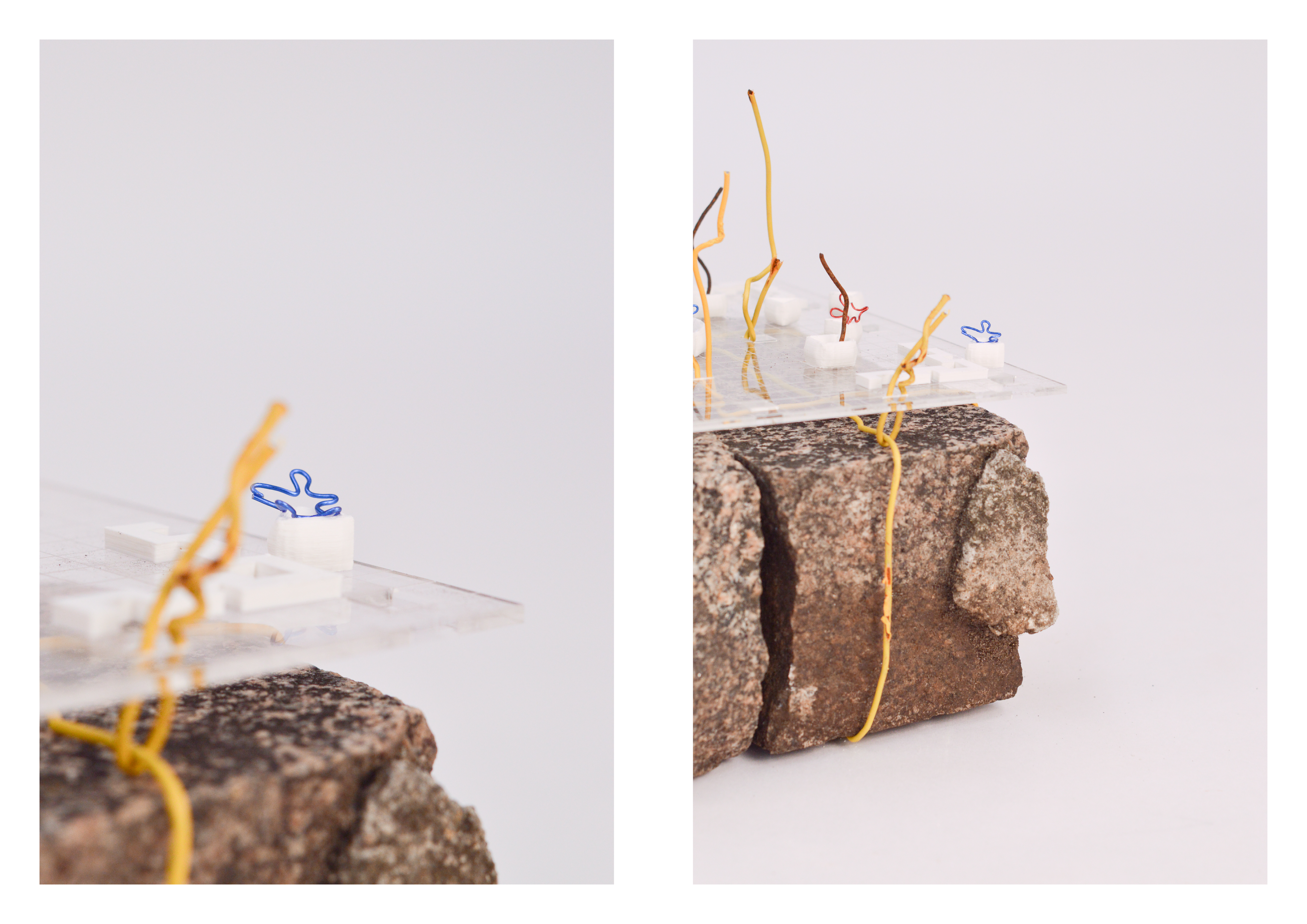 ASSEMBLAGE
