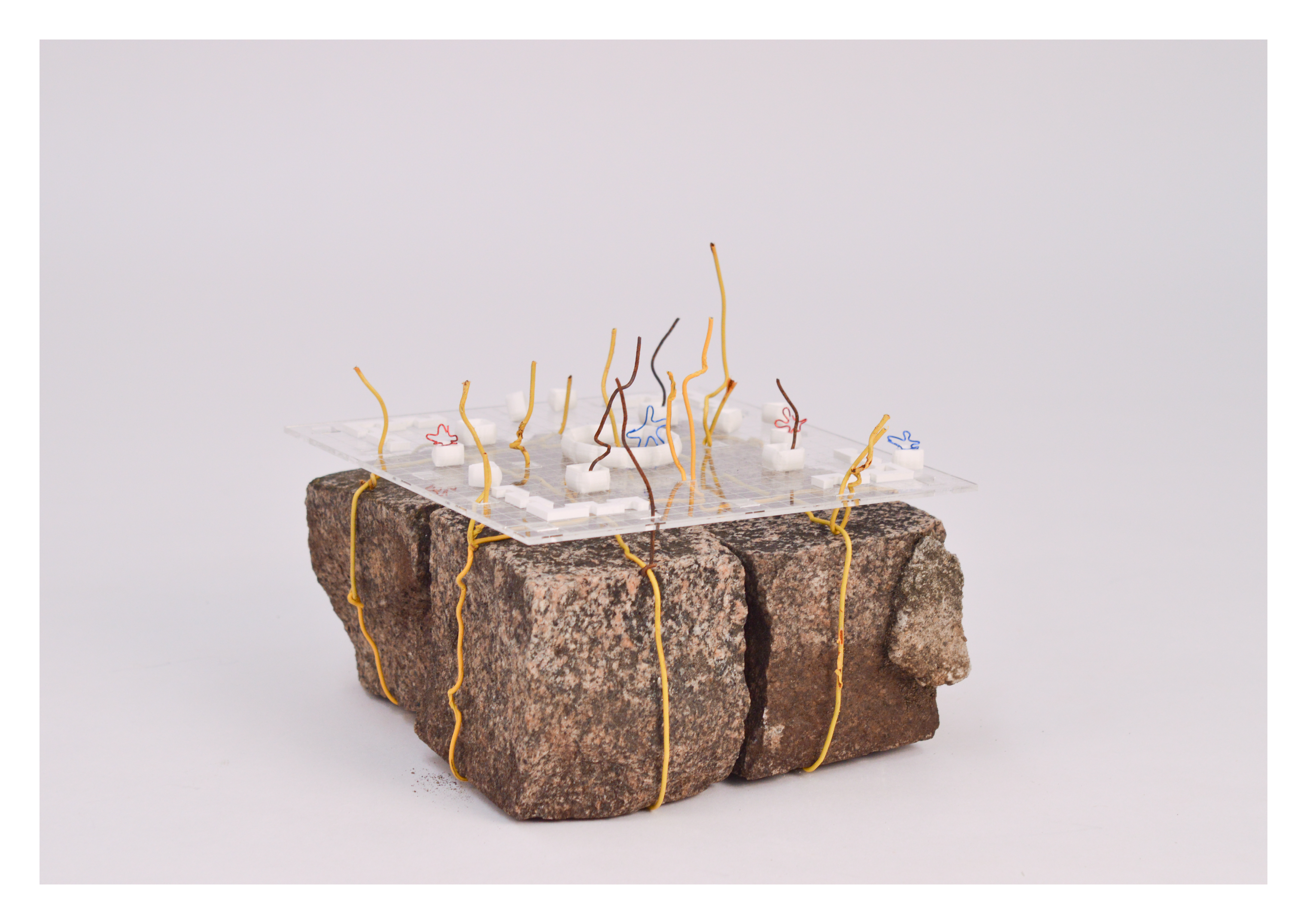 ASSEMBLAGE