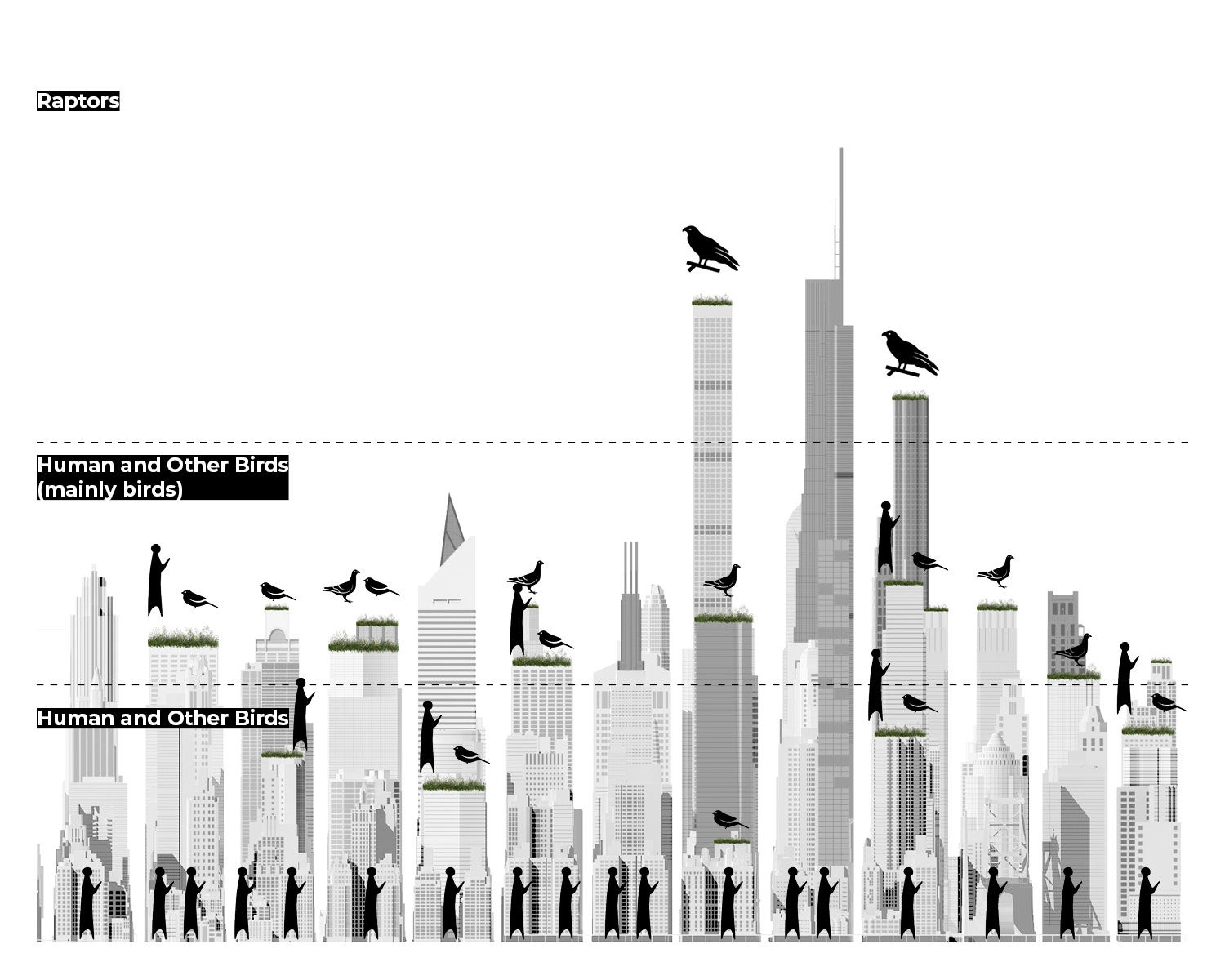 A System Based on Height