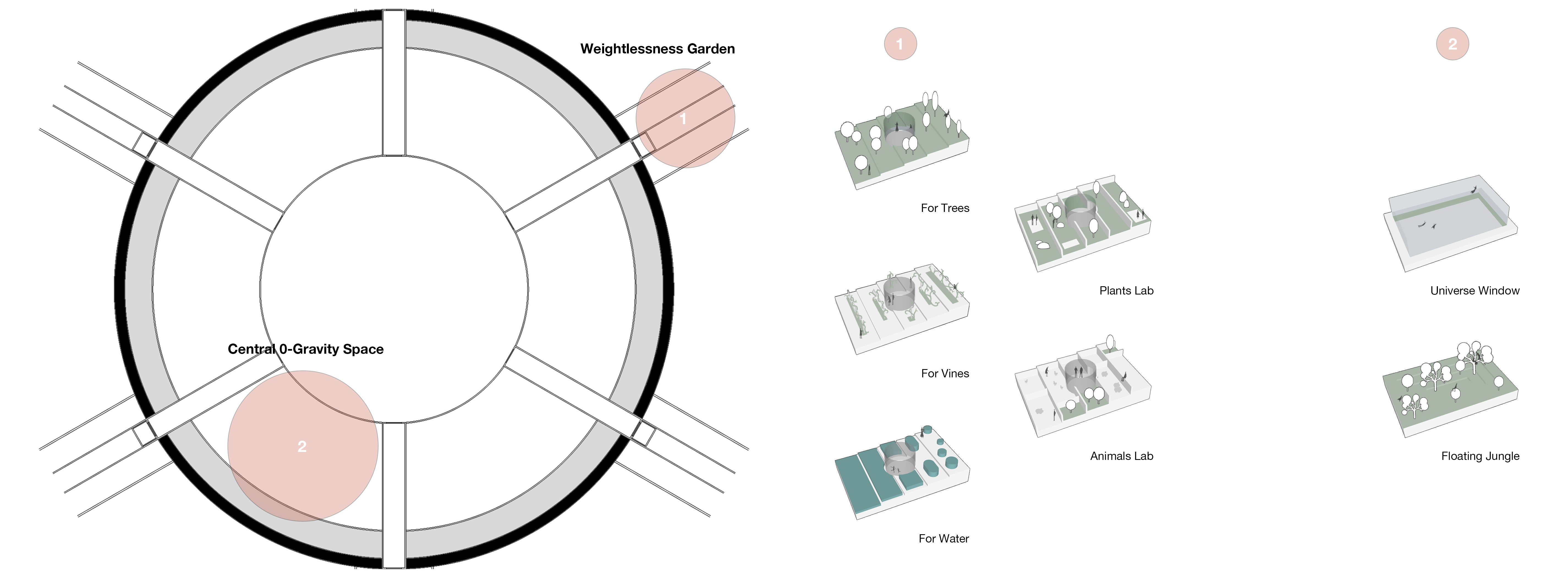 Transects and central area design forms