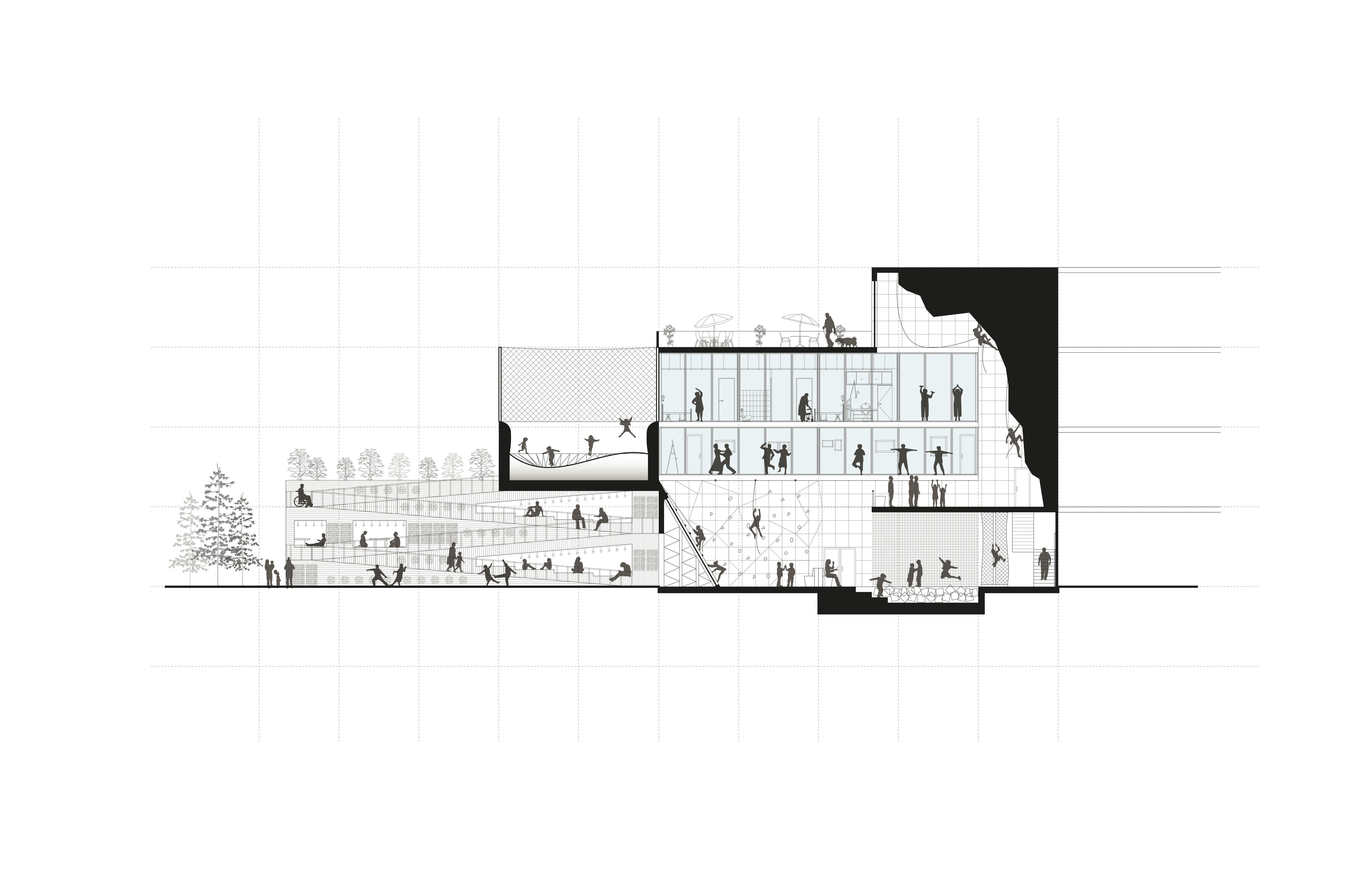 section