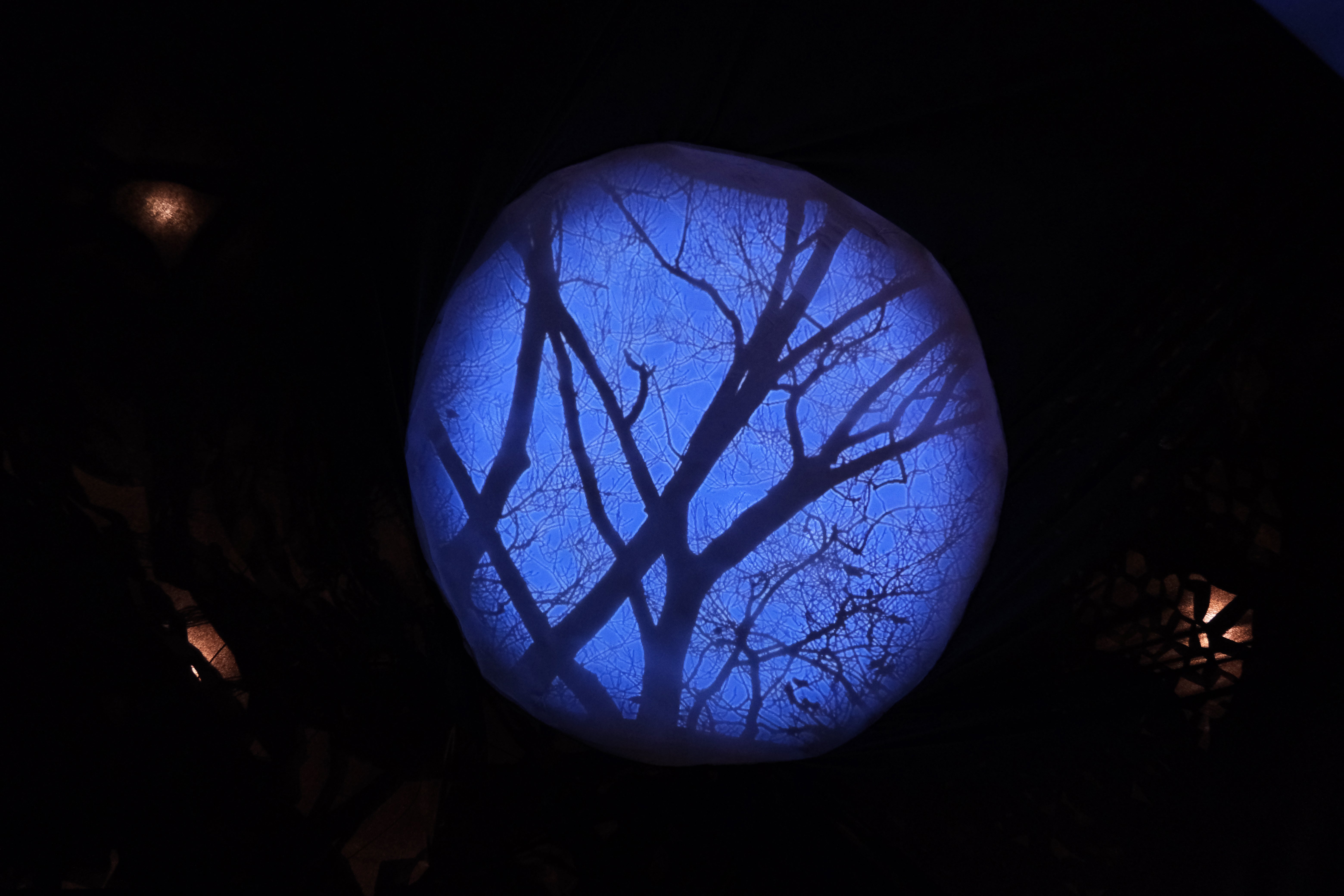 interior projection
