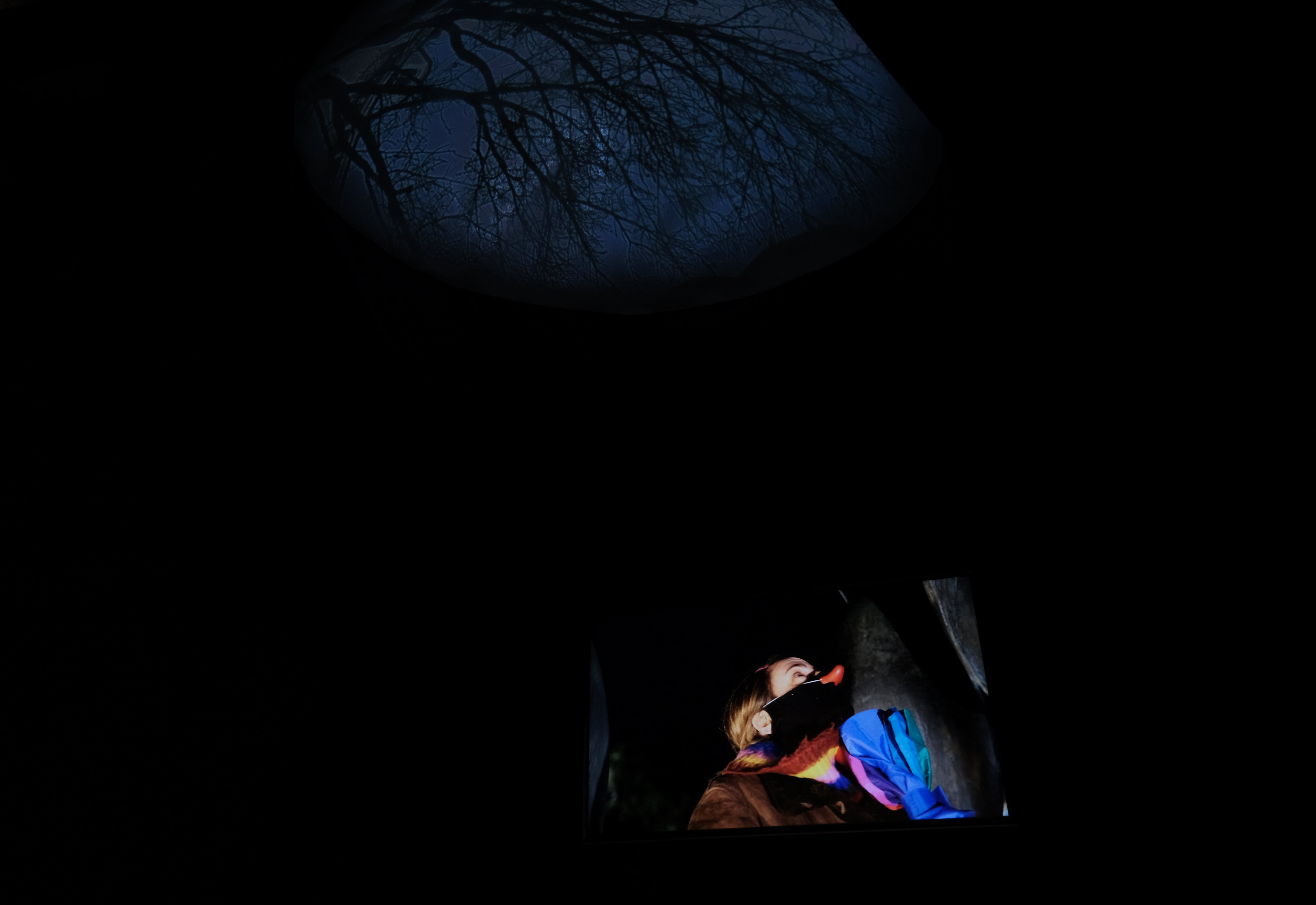 interior projection and monitor