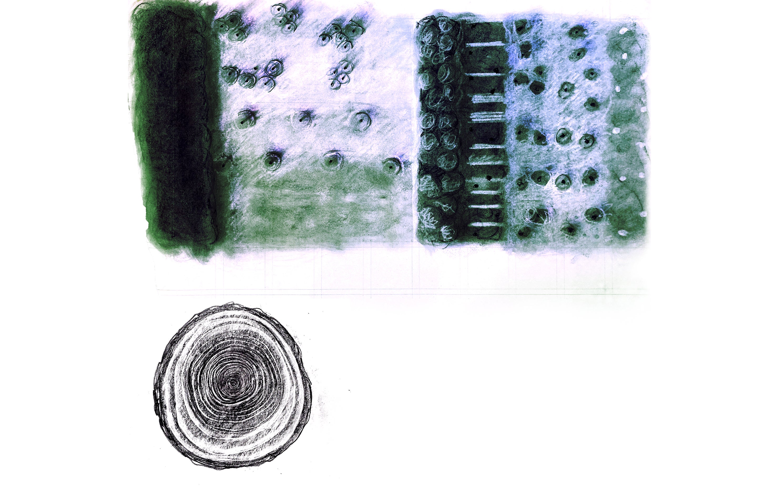 diagram of shelterwood system