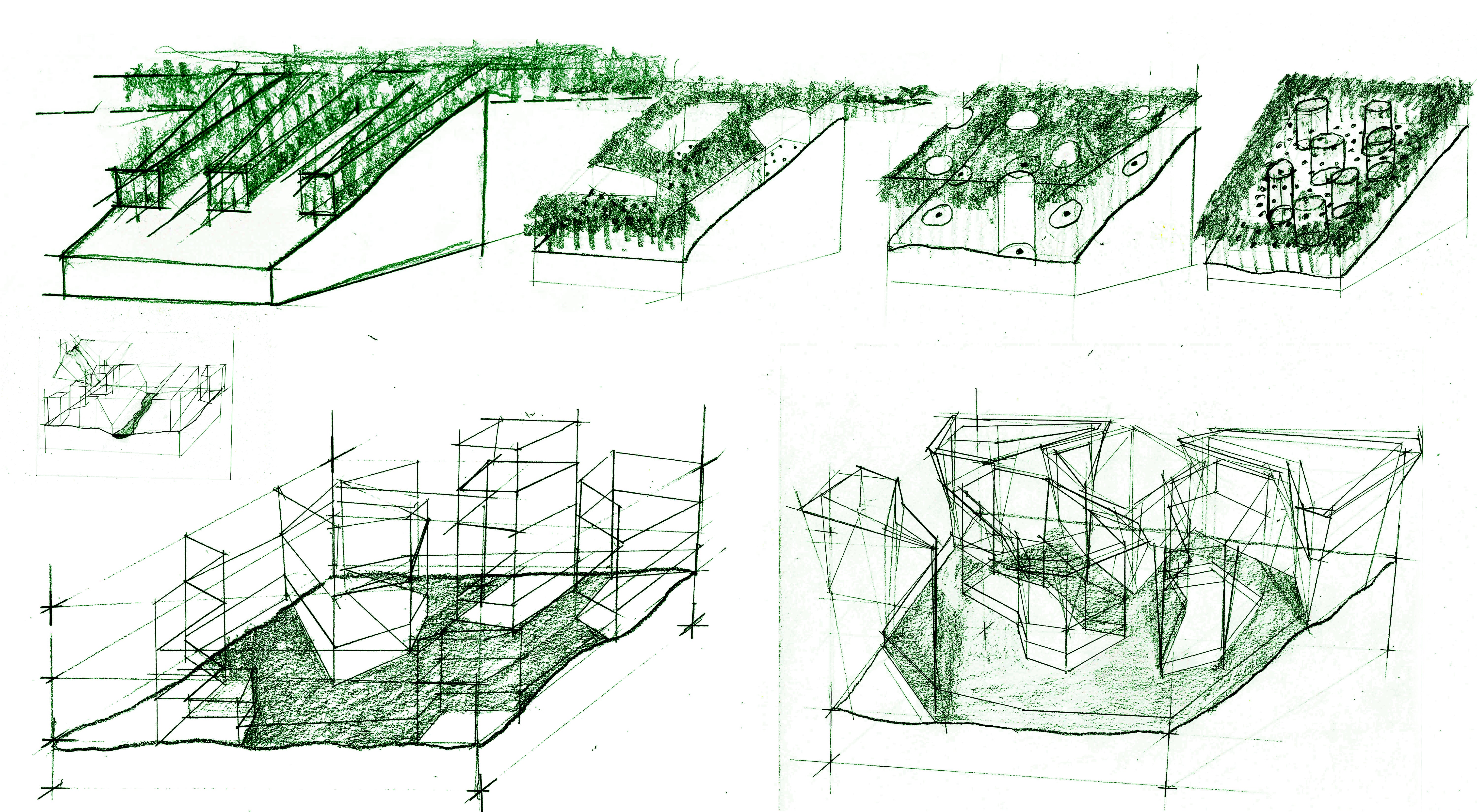 silviculture diagrams