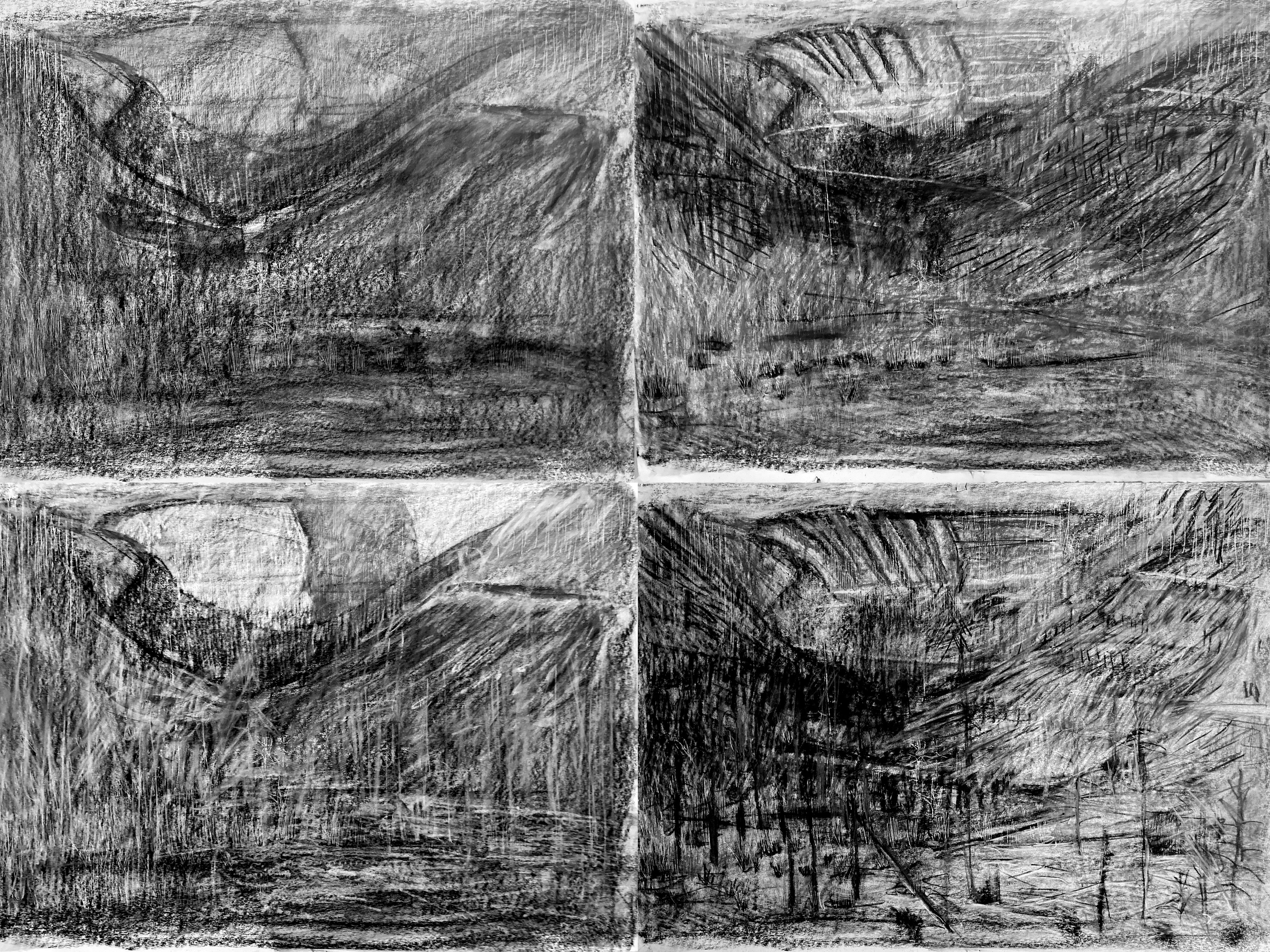 succession grid 1