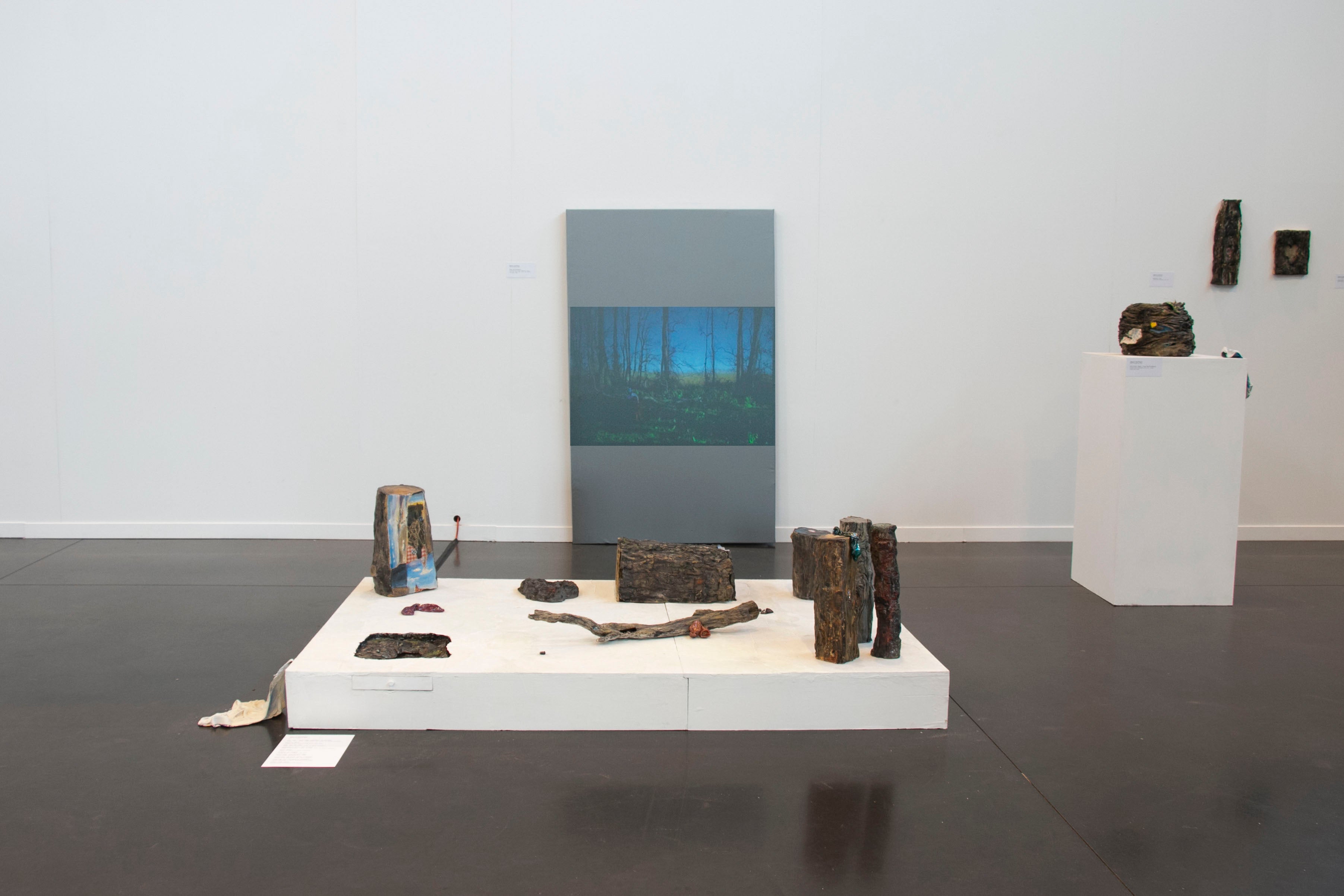 Installation view of ceramic tree trunks, and video of nest performance.