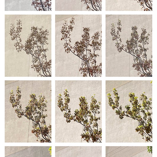 work by Xueying Chen