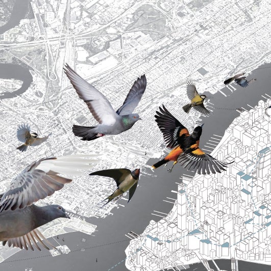 work by Yu Fang