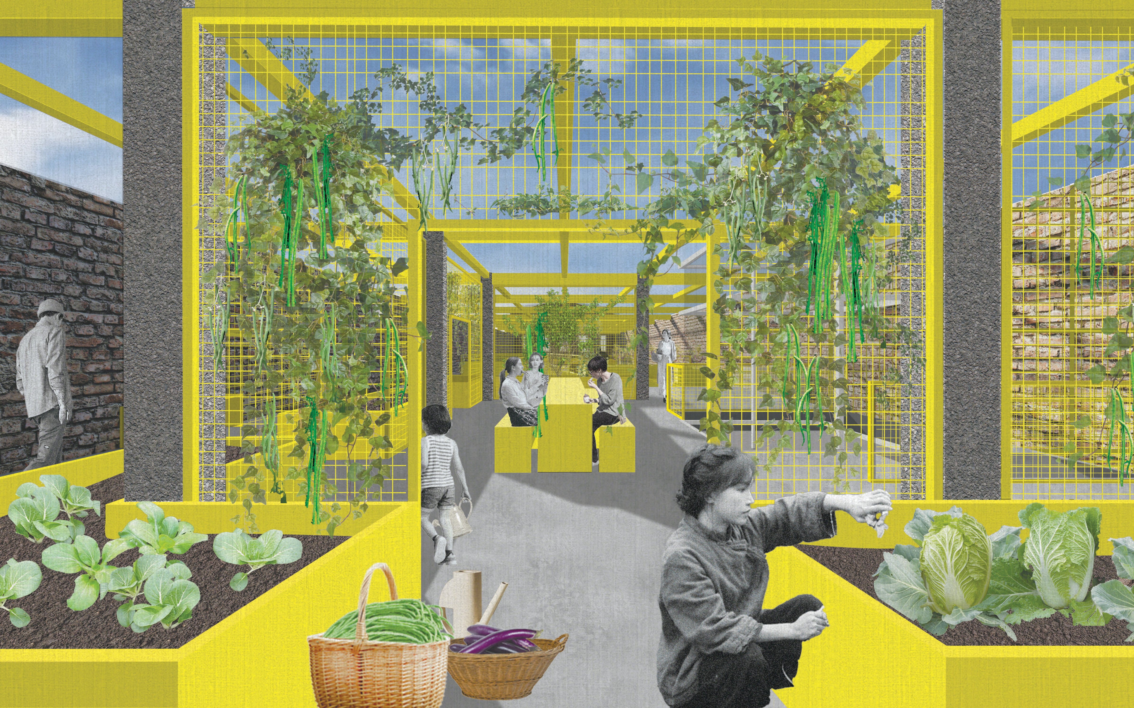 garden view