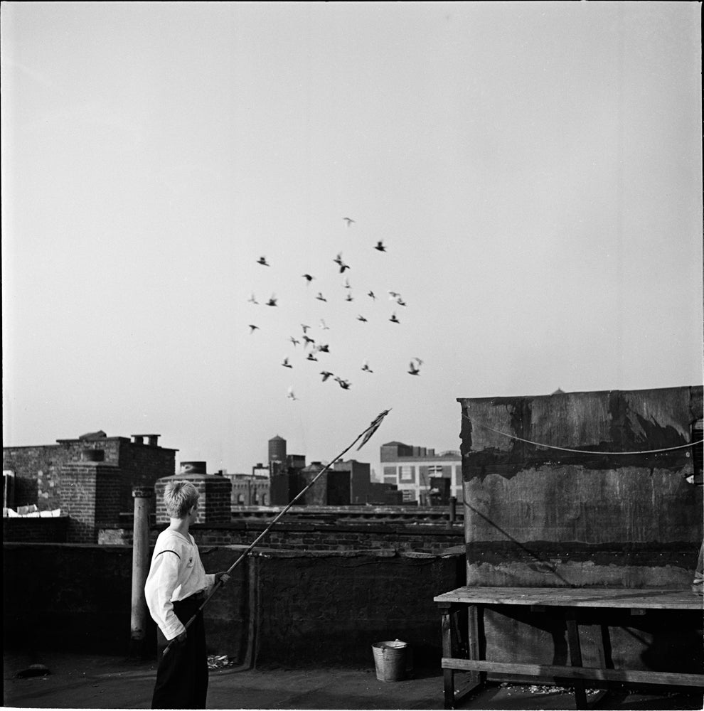 Photo: Shoe Shine Boy[Mickey at a rooftop pigeon coop.]  by Stanley Kubrick, 1947