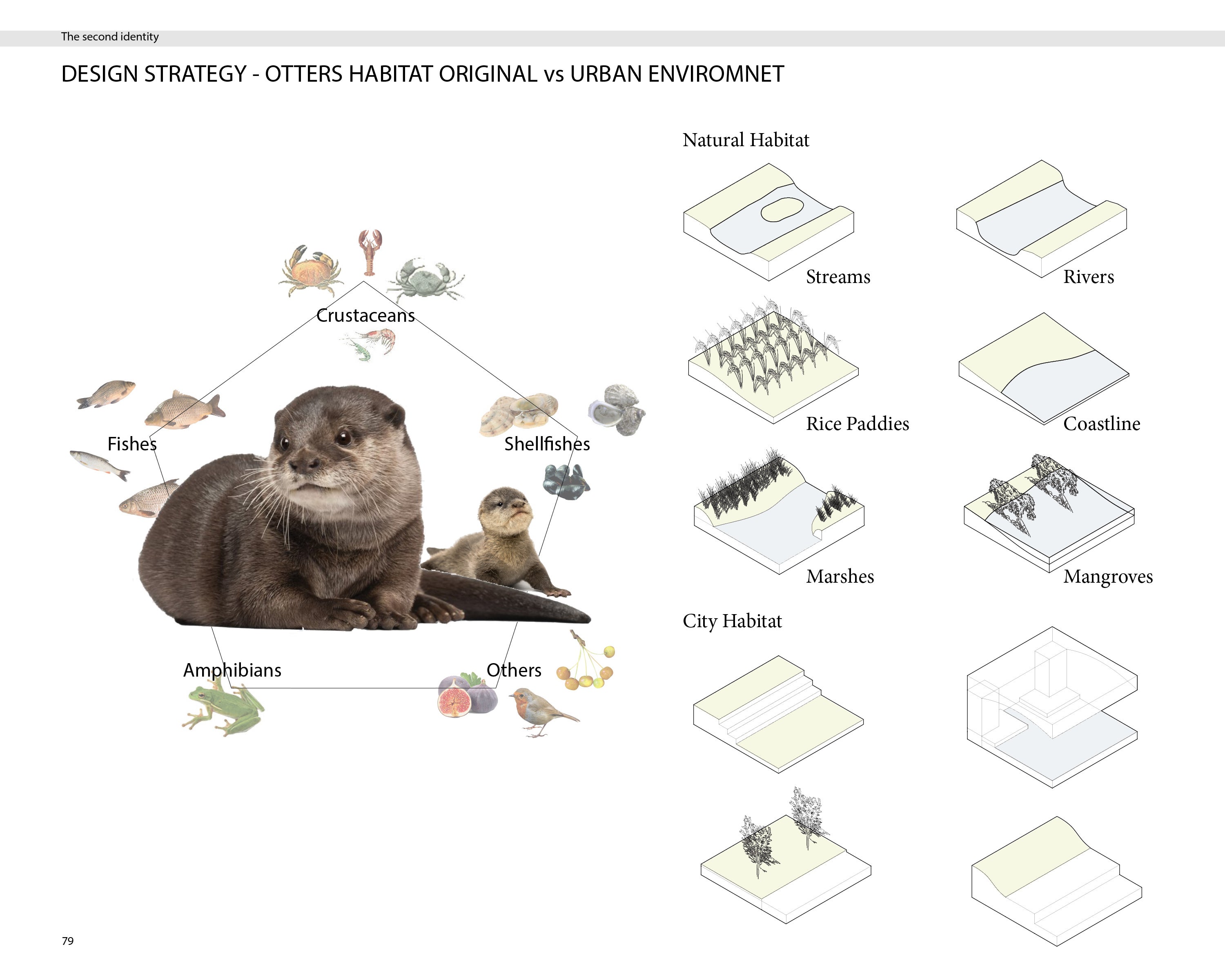 otter1