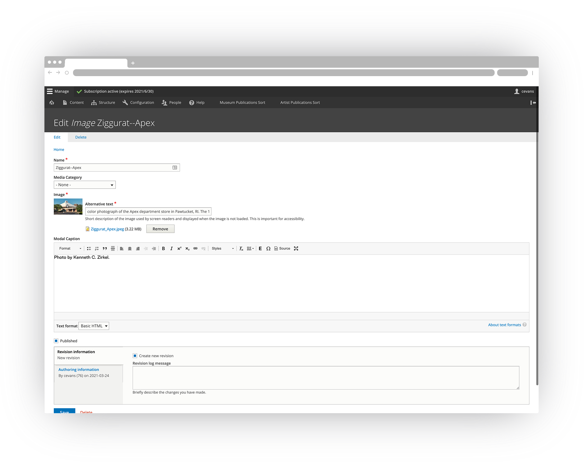 screenshot of the Ziggurat interface, showing a media asset in the Media Library