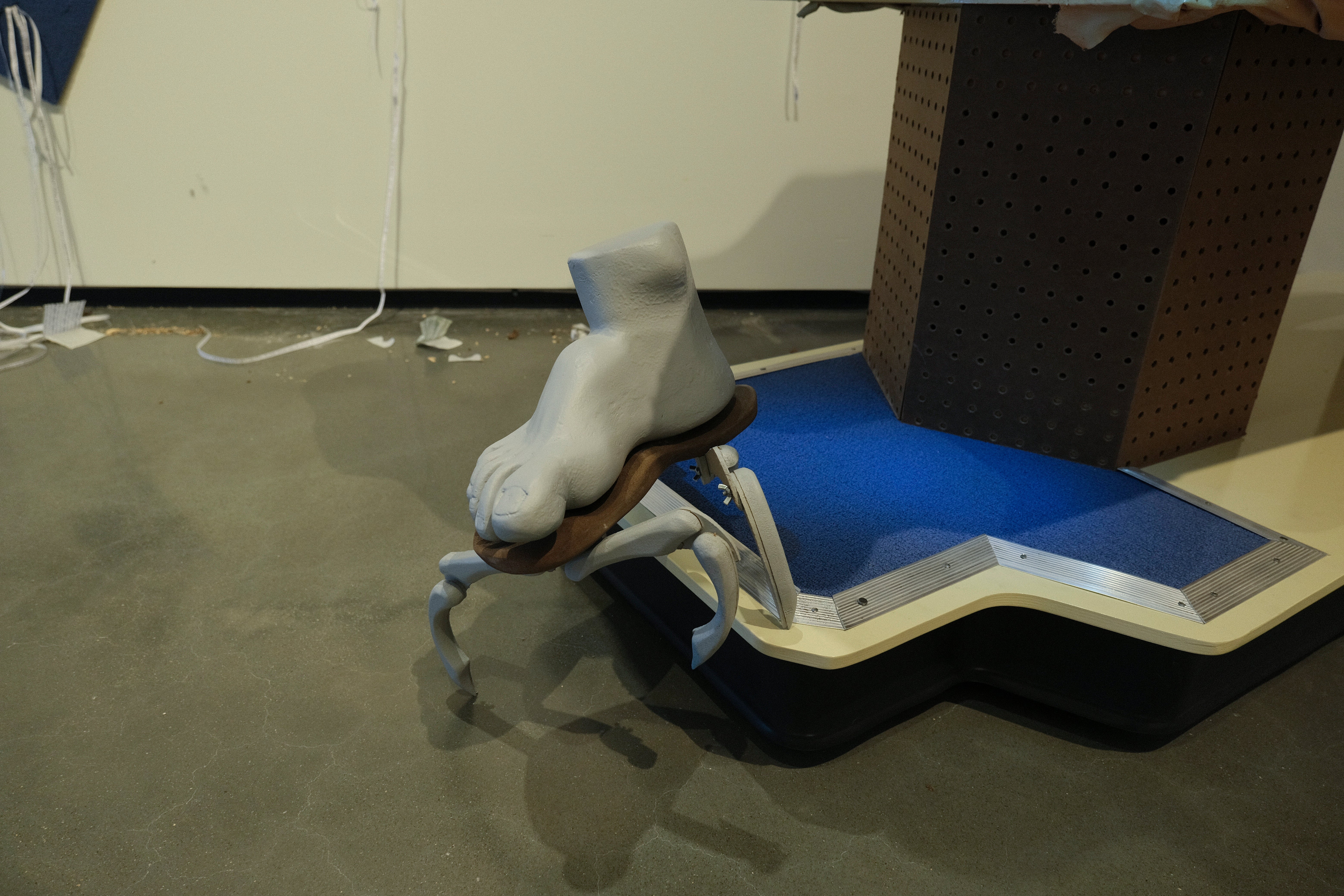 Carpet Walker