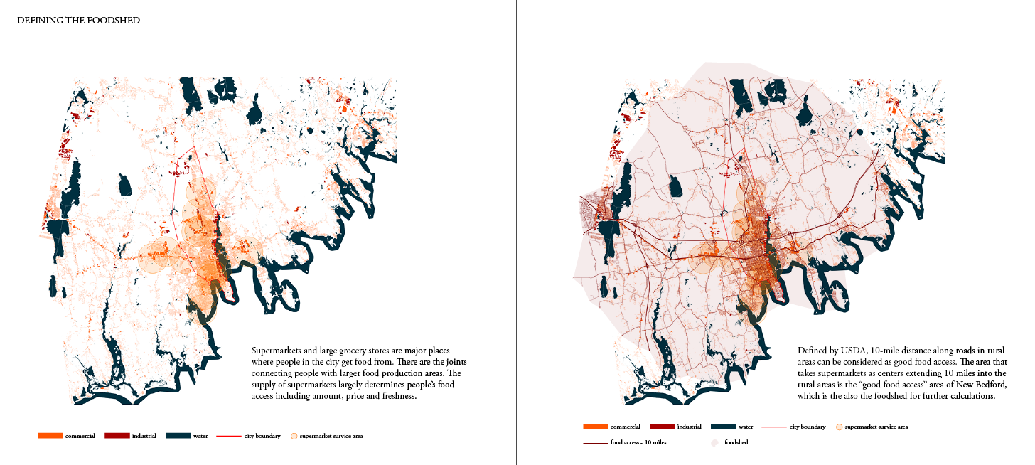 lynn-3